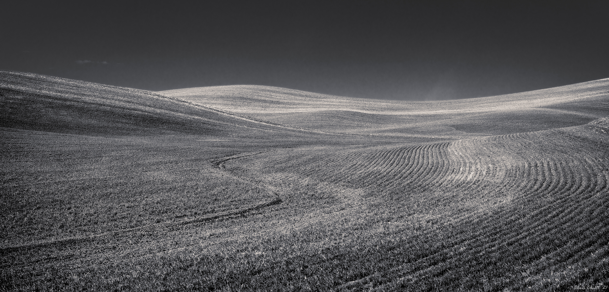 Precise and artful plowing patterns are drawn in the soil.