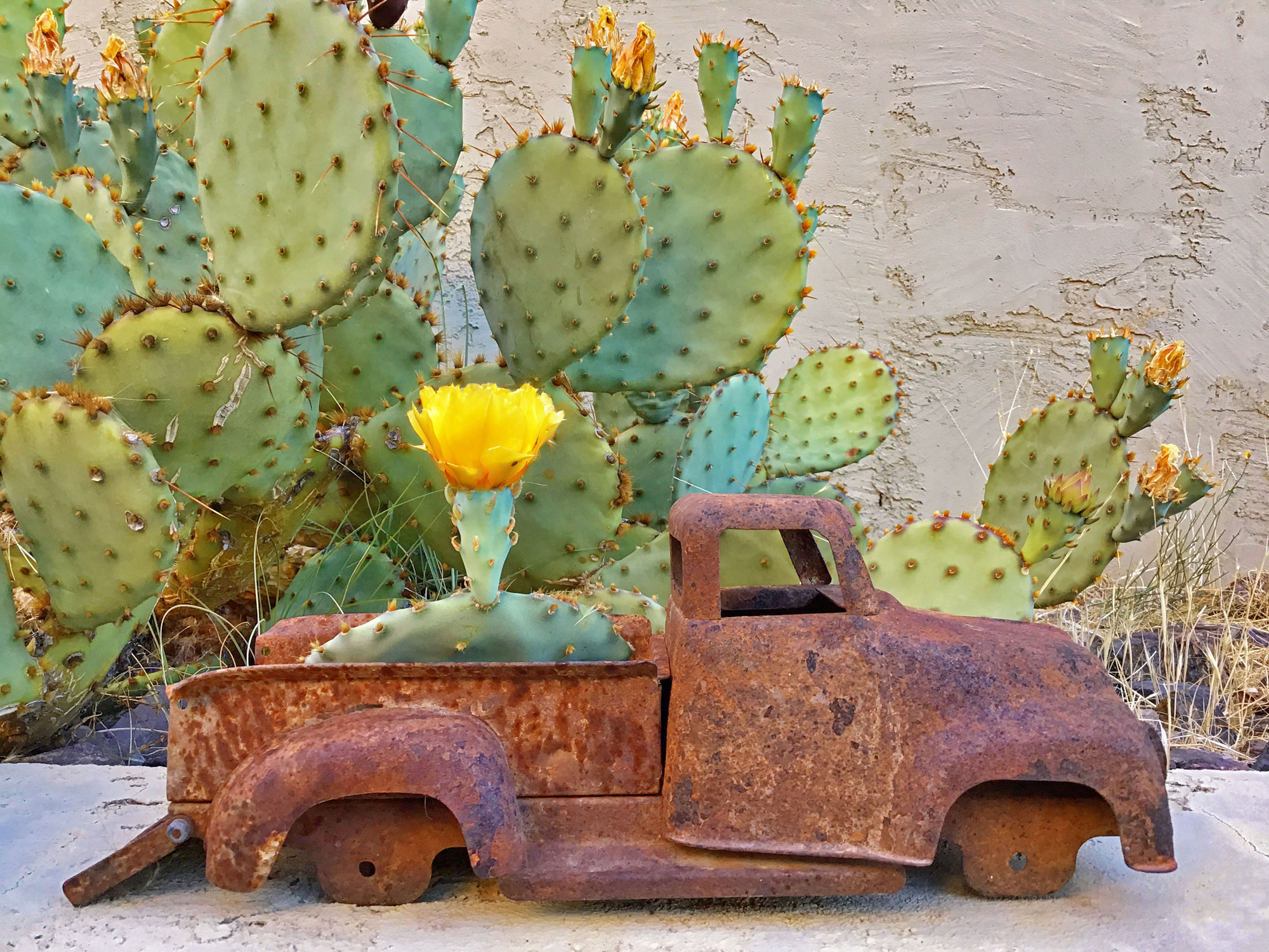Flower Truck