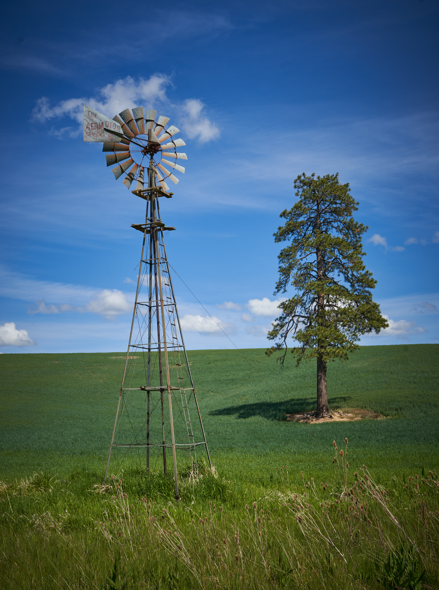 A two for one windmill and lone tree