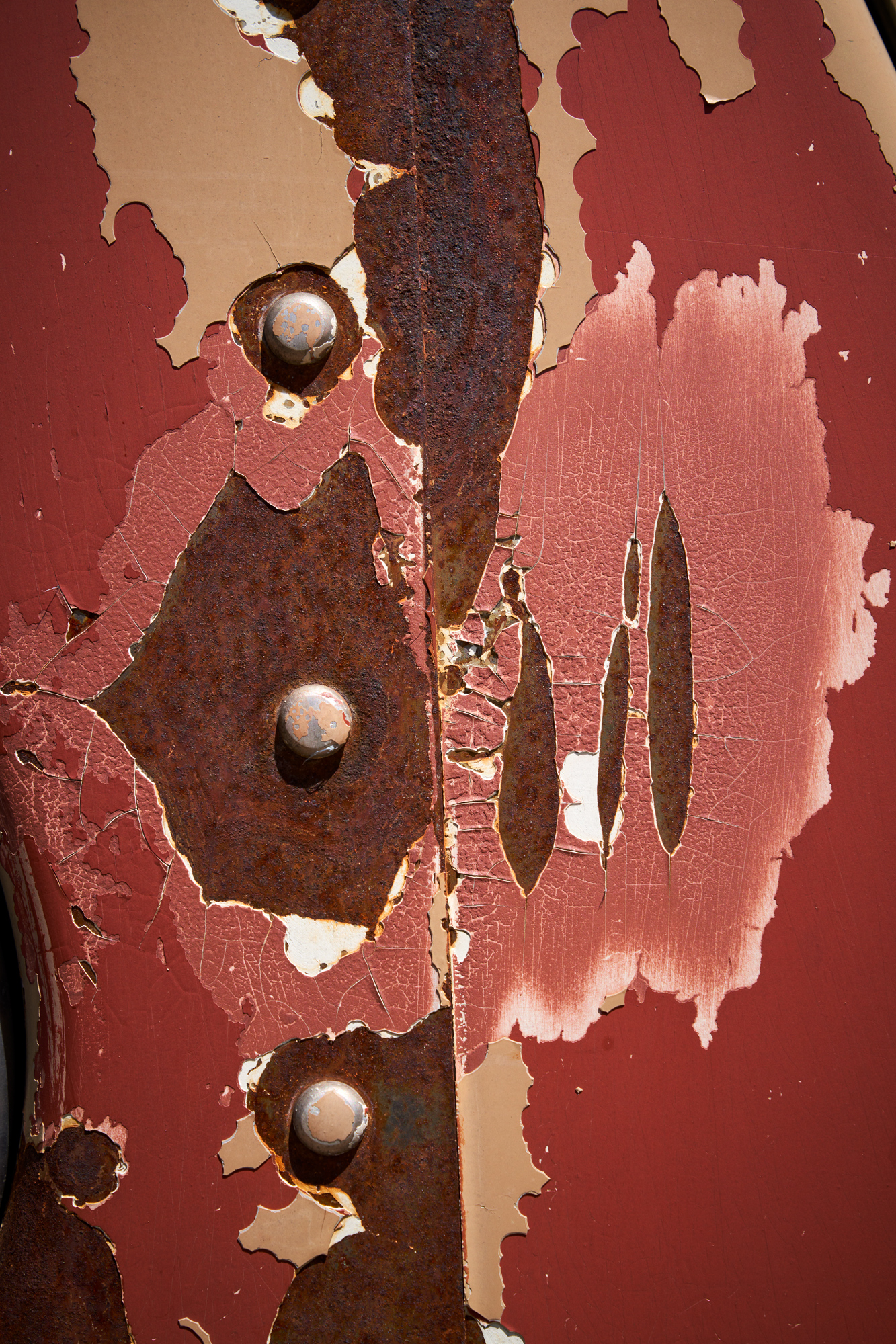 Abstract of the Palouse bus