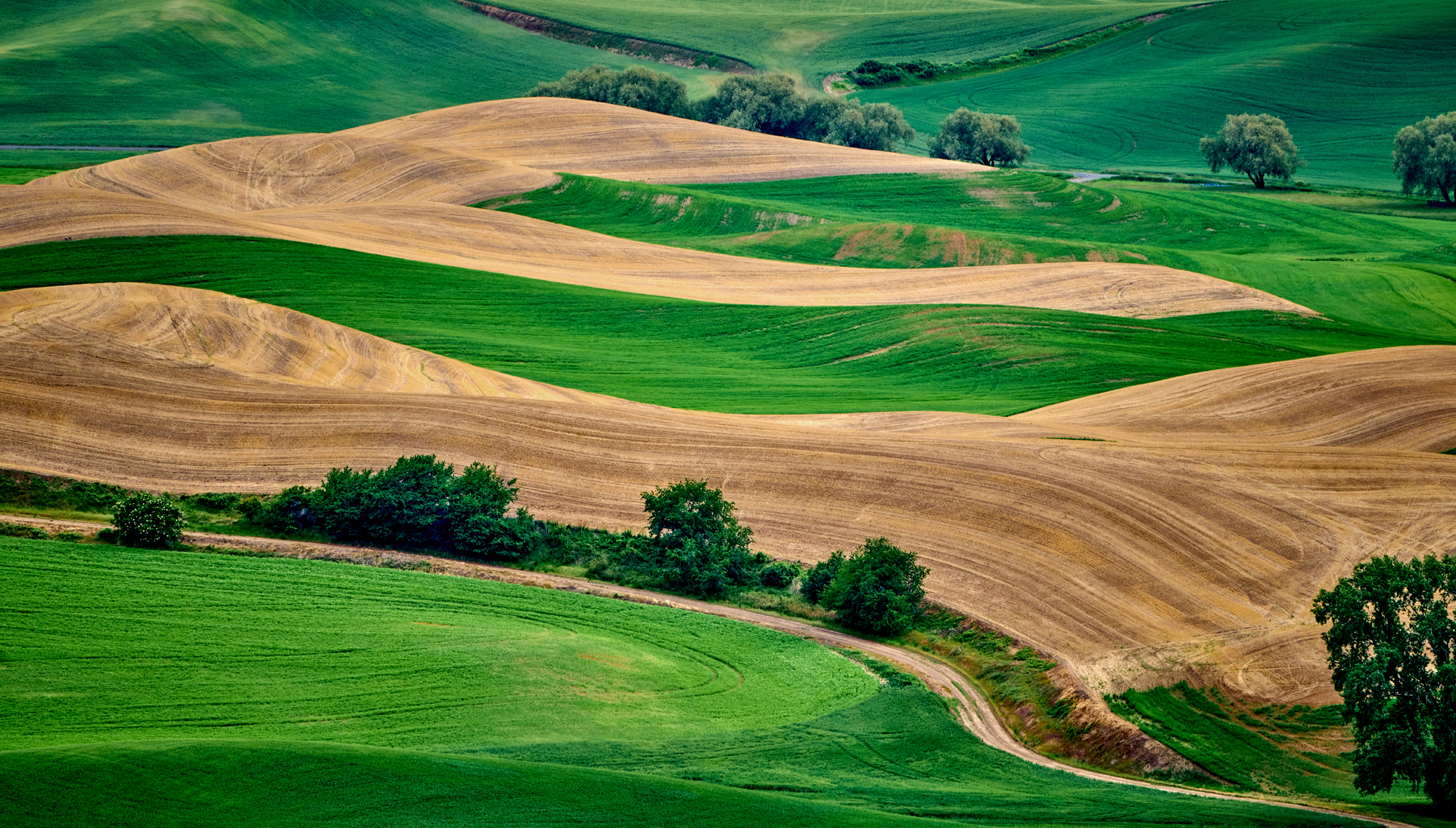 From Steptoe Butte