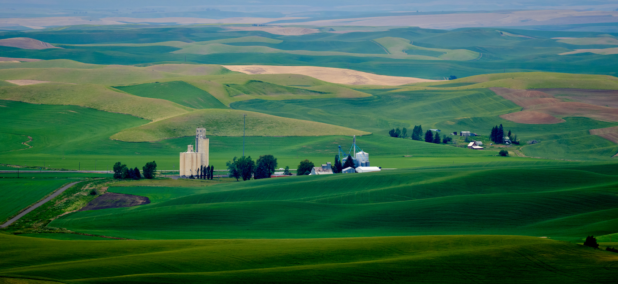 From Steptoe Butte