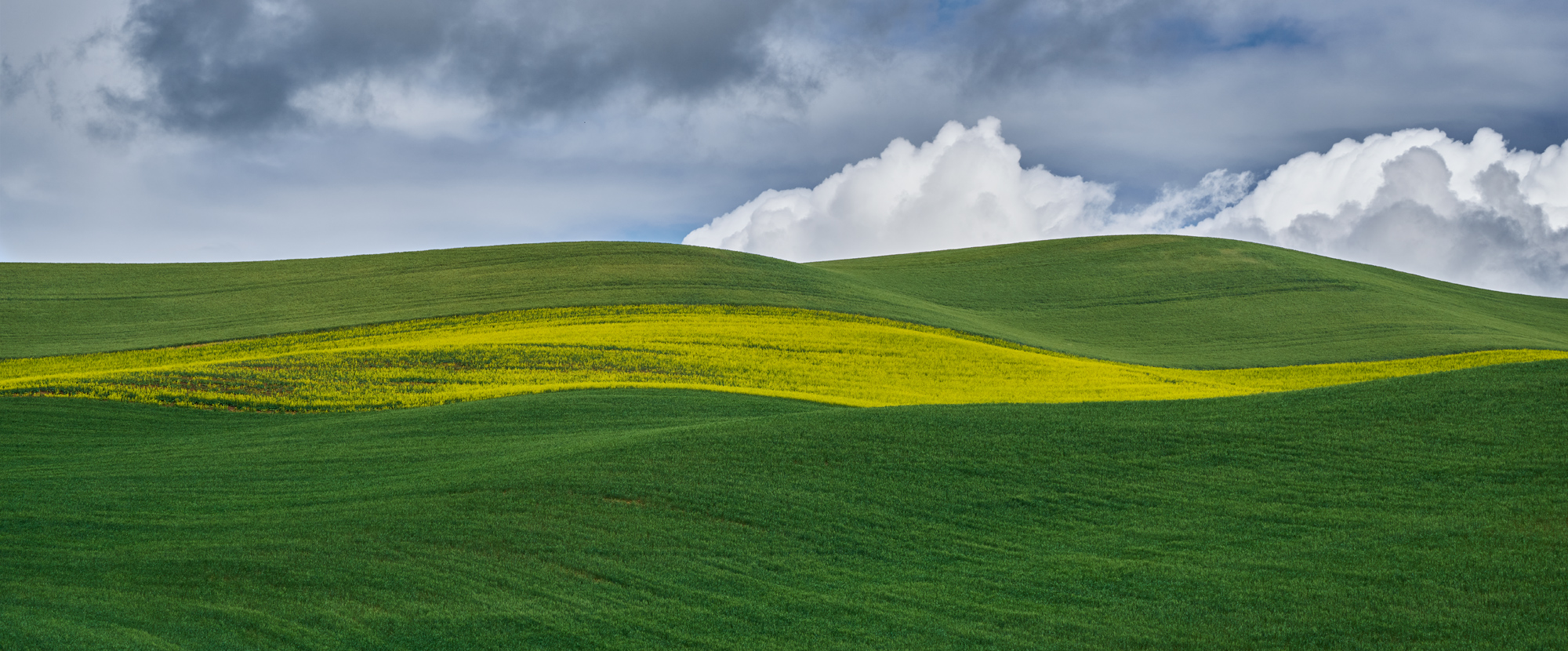 The rolling hill compsotion