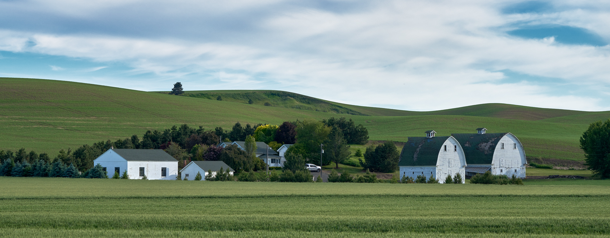 The Twin White barns farm