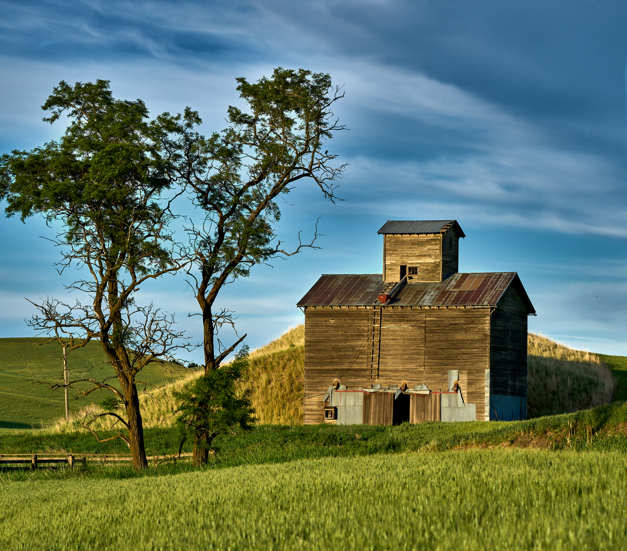 The evening light was perfect for the grain silo photo