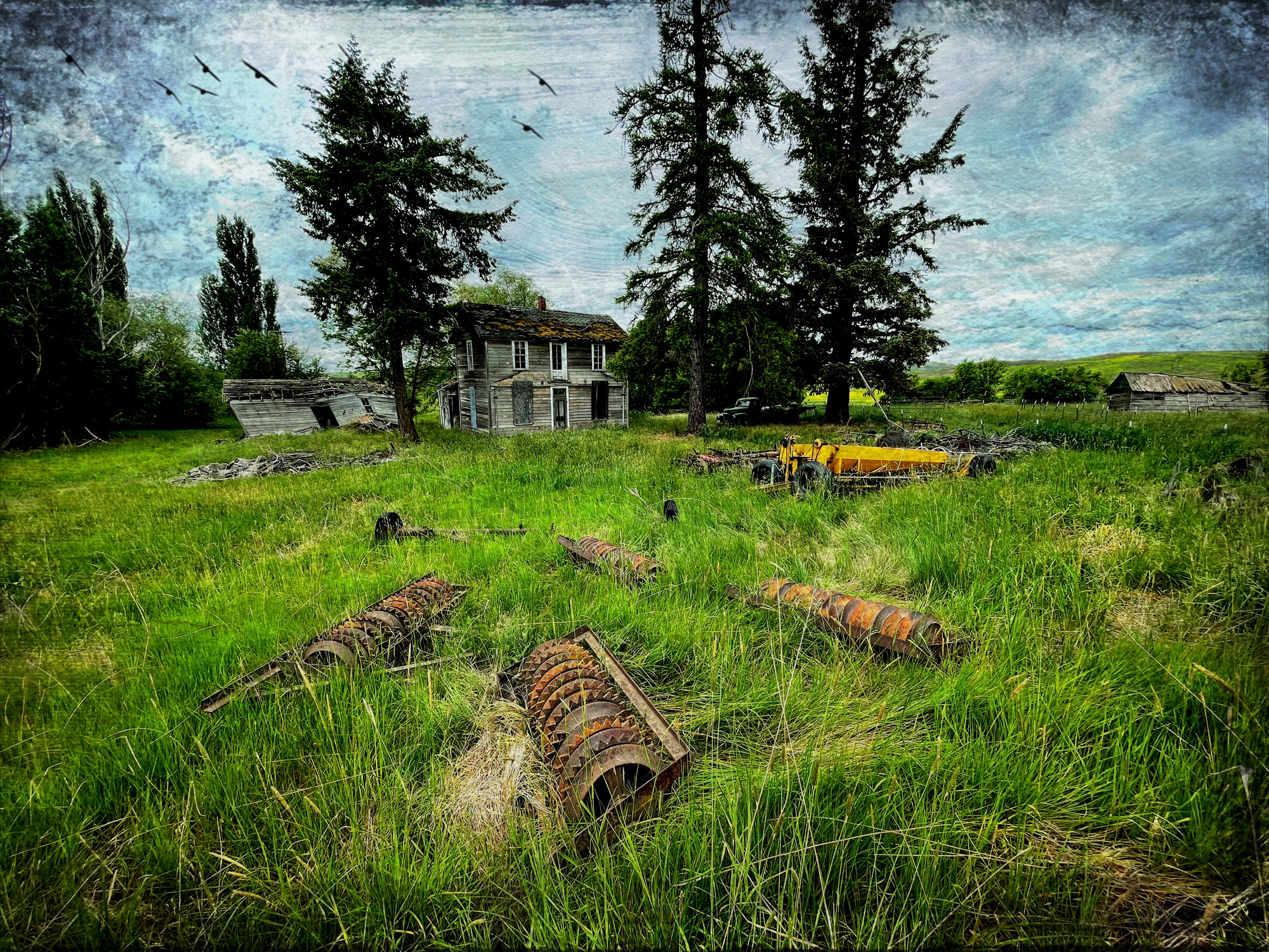 Abandoned houses