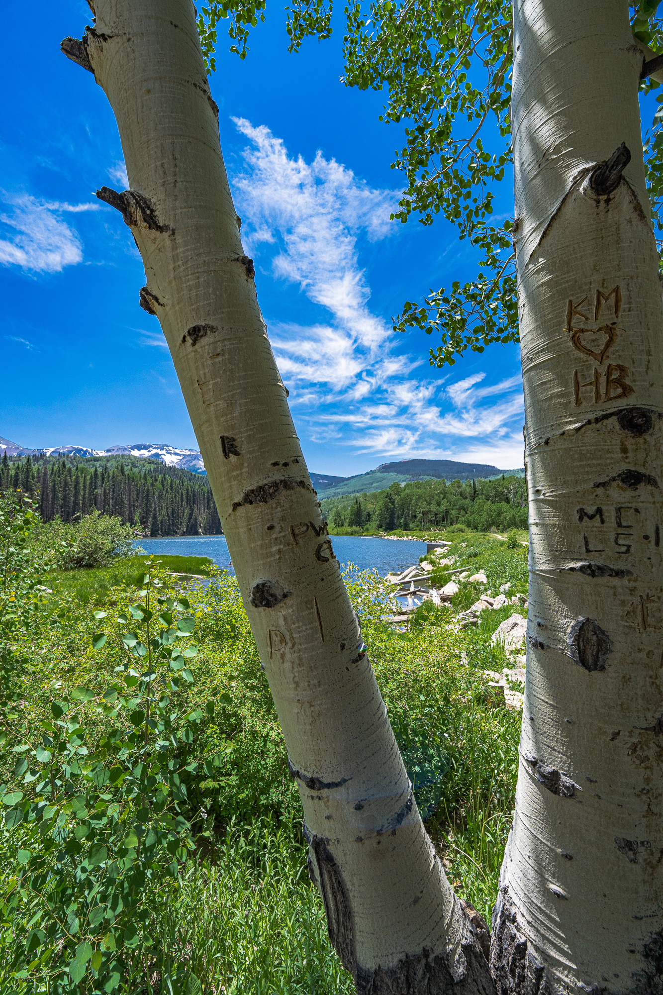 View of Woods Lake, C