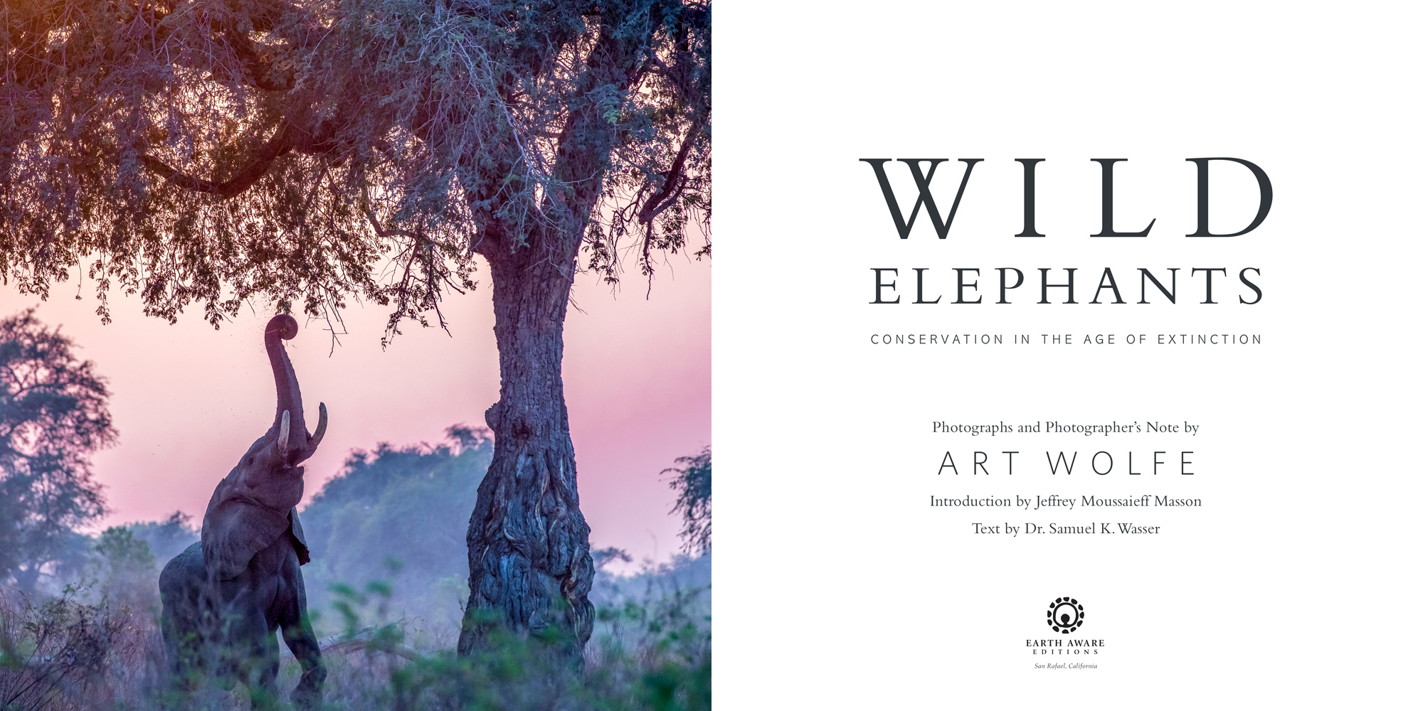 Wild elephants Book