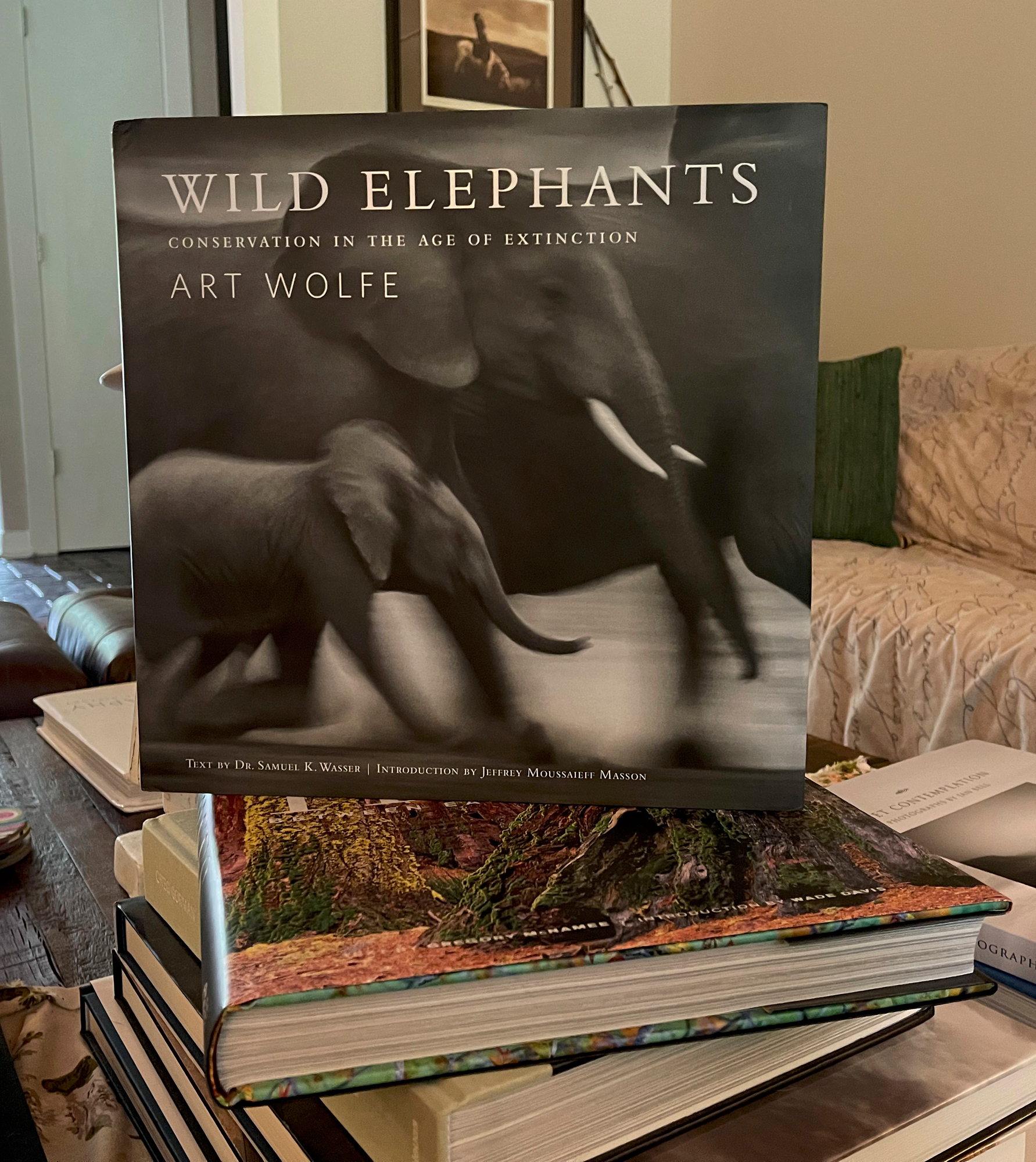 My coffee table and Art's wild Elephant book