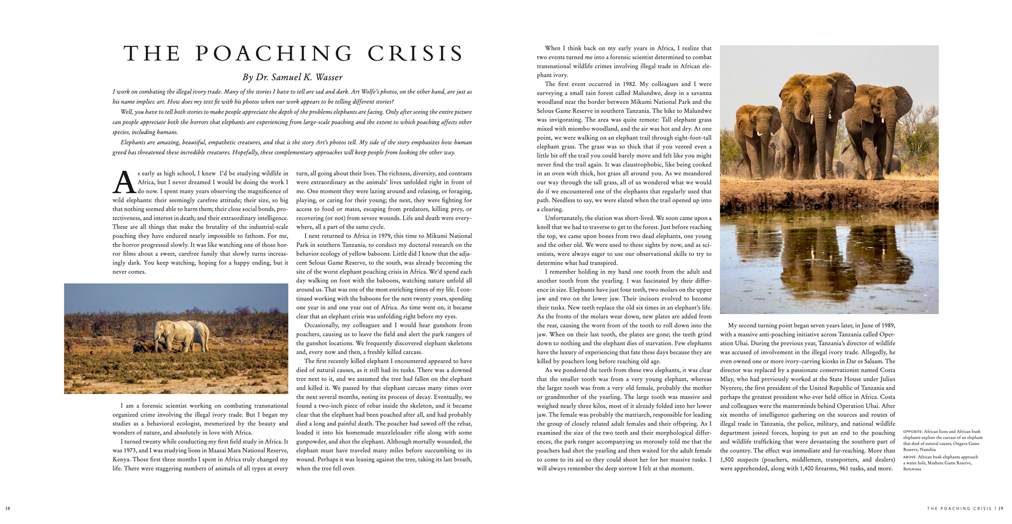 The Poaching Crisis - A must read