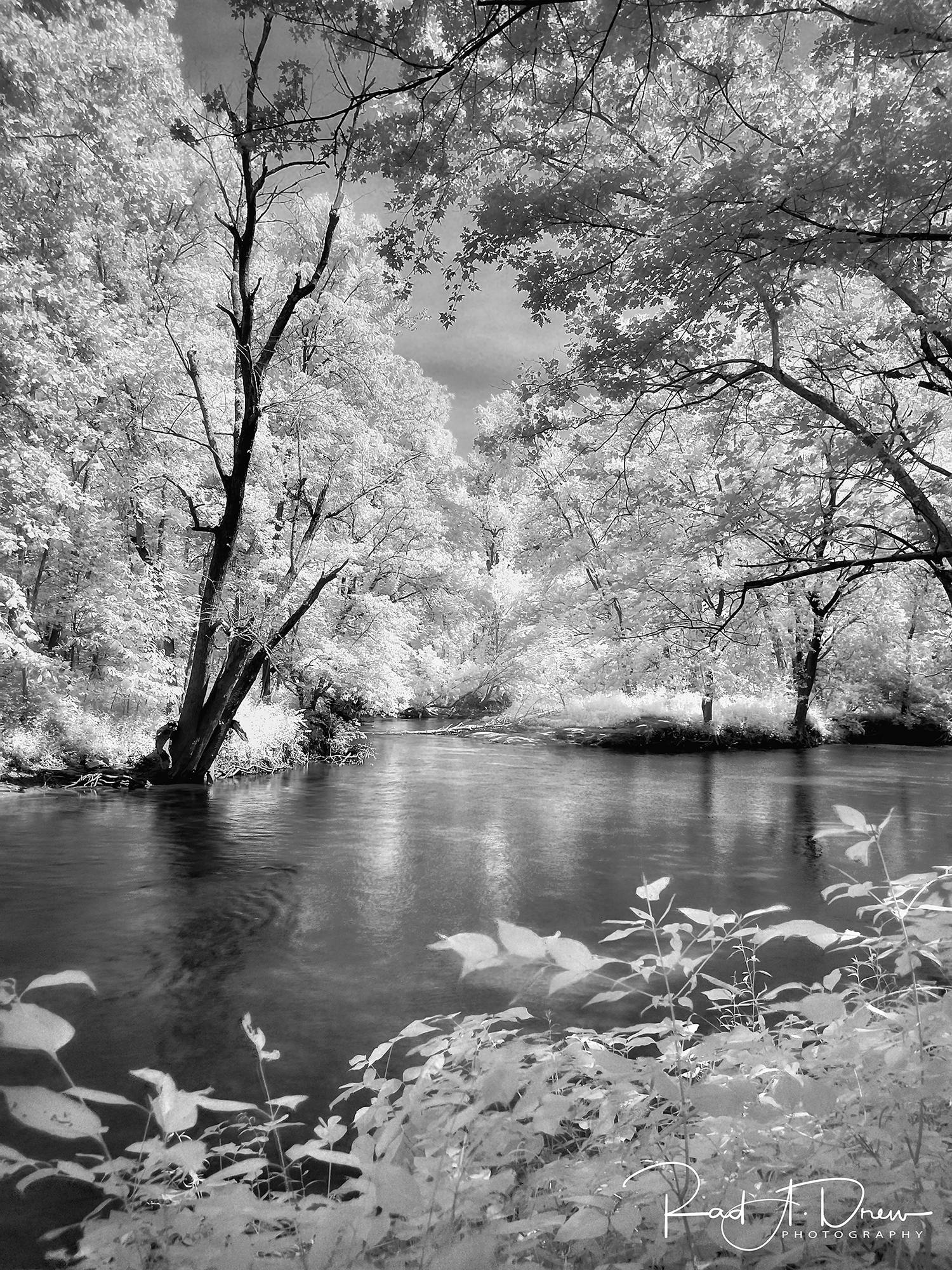Created with the 12 Pro Max, Native Camera, ProRAW, and Night Mode, processed in Lightroom for Mobile