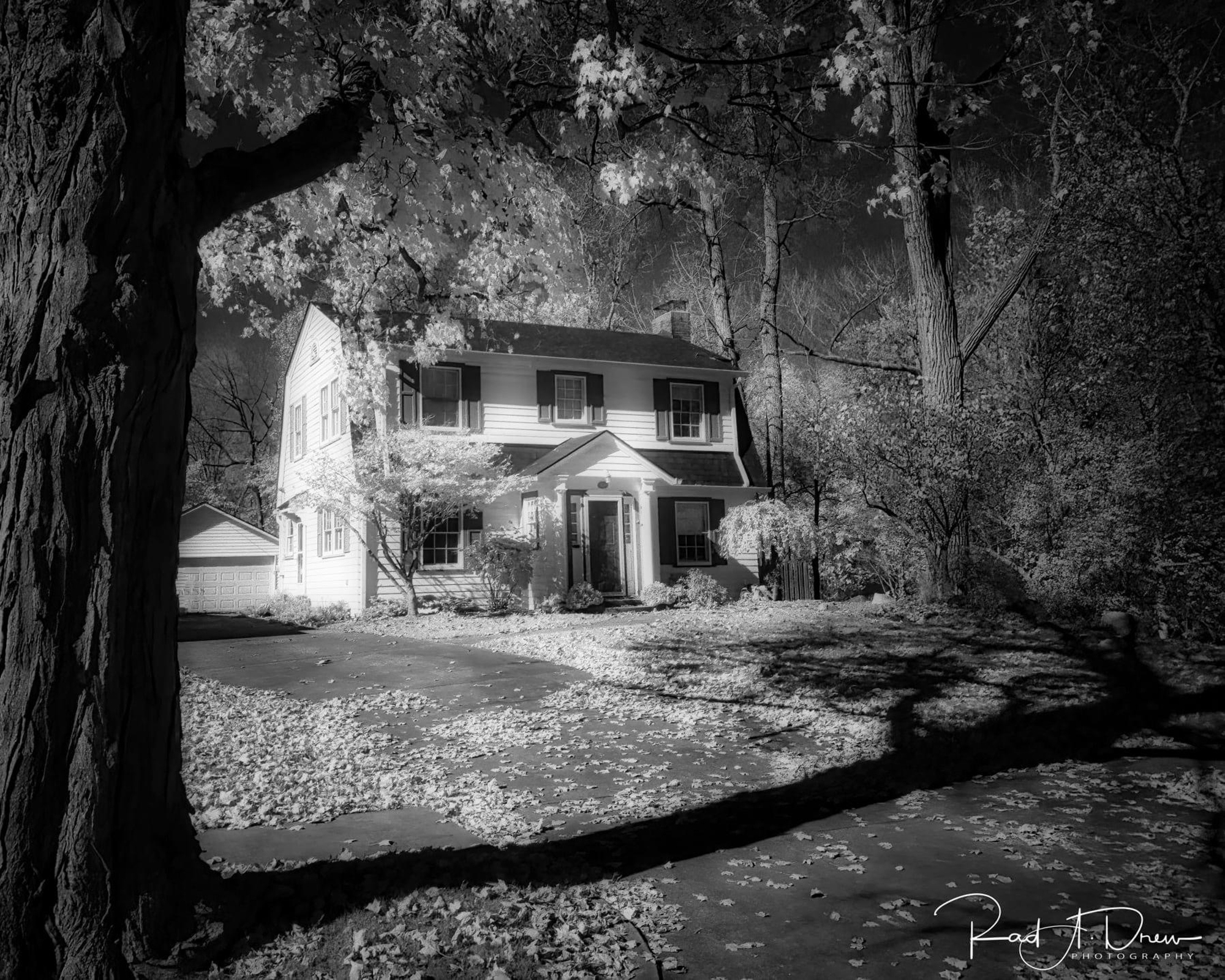 Created with 11 Pro Max, Lightroom Pro Camera, RAW, processed with the Lightroom for Mobile Editor