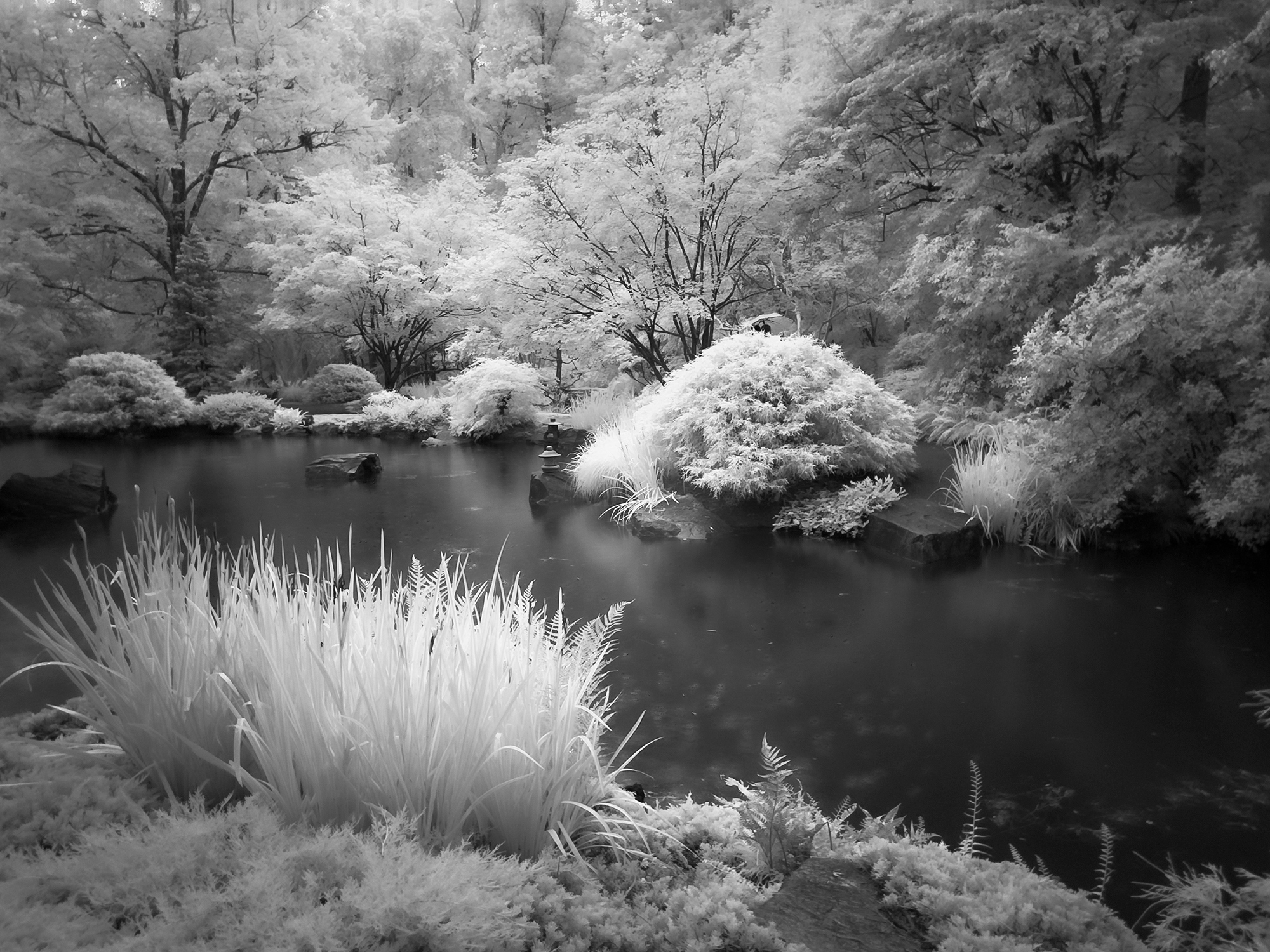 Created with the iPhone 12 Pro Max, Native Camera, ProRAW and Night Mode, processed on the desktop in Luminar 4 with plugins Topaz DeNoise AI, Sharpen AI, and Nik Silver Efex Pro 2