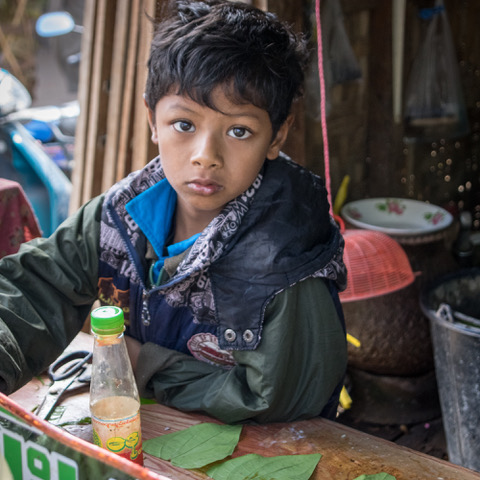 PxLShutter Article Image#a