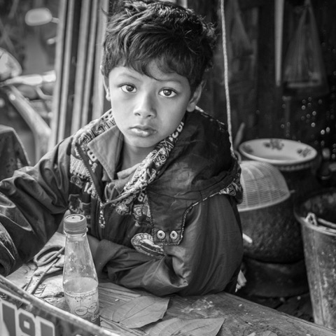 PxLShutter Article Imgeb