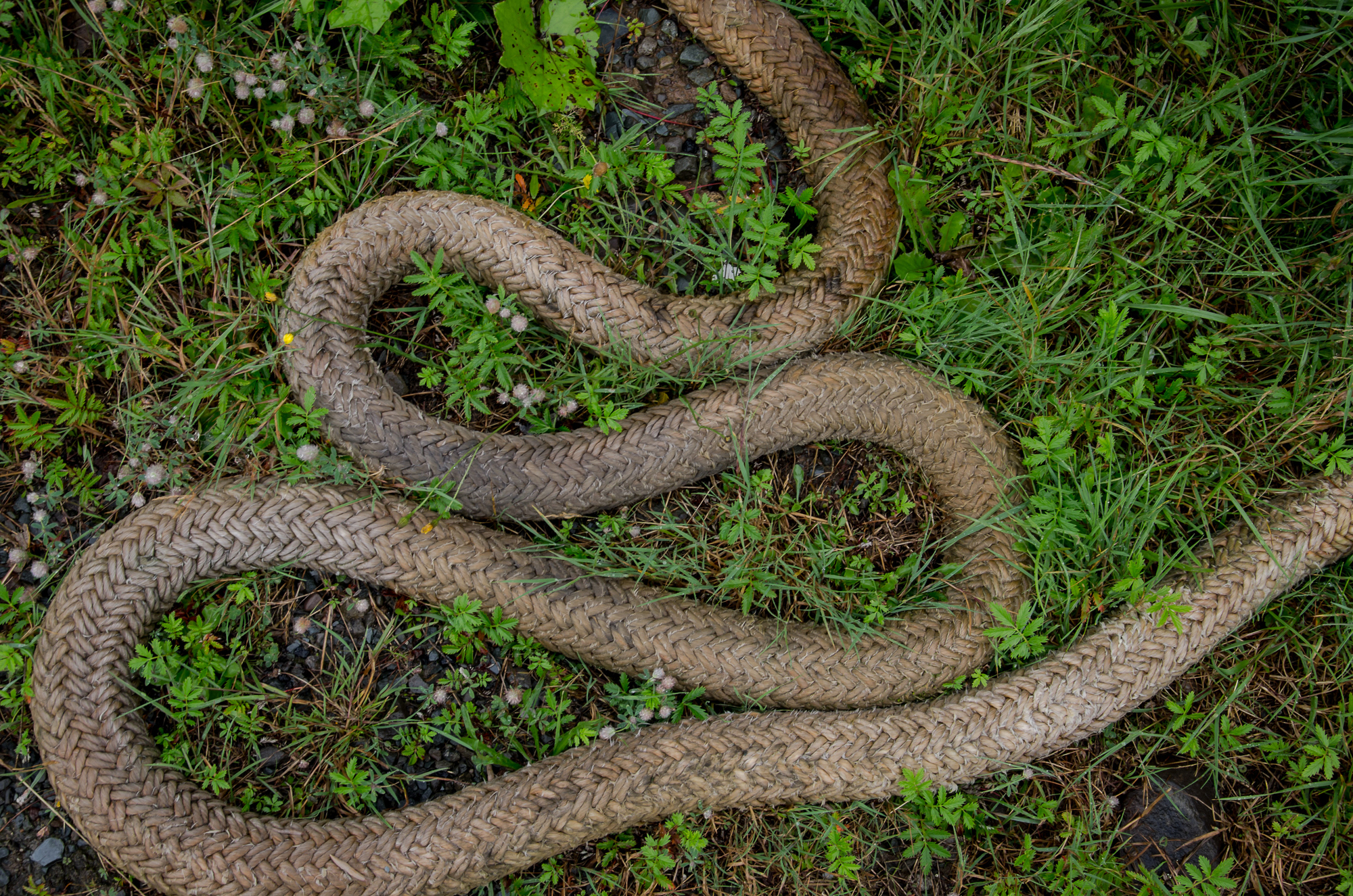 What is your first impression of this image and what associations does it conjure up?