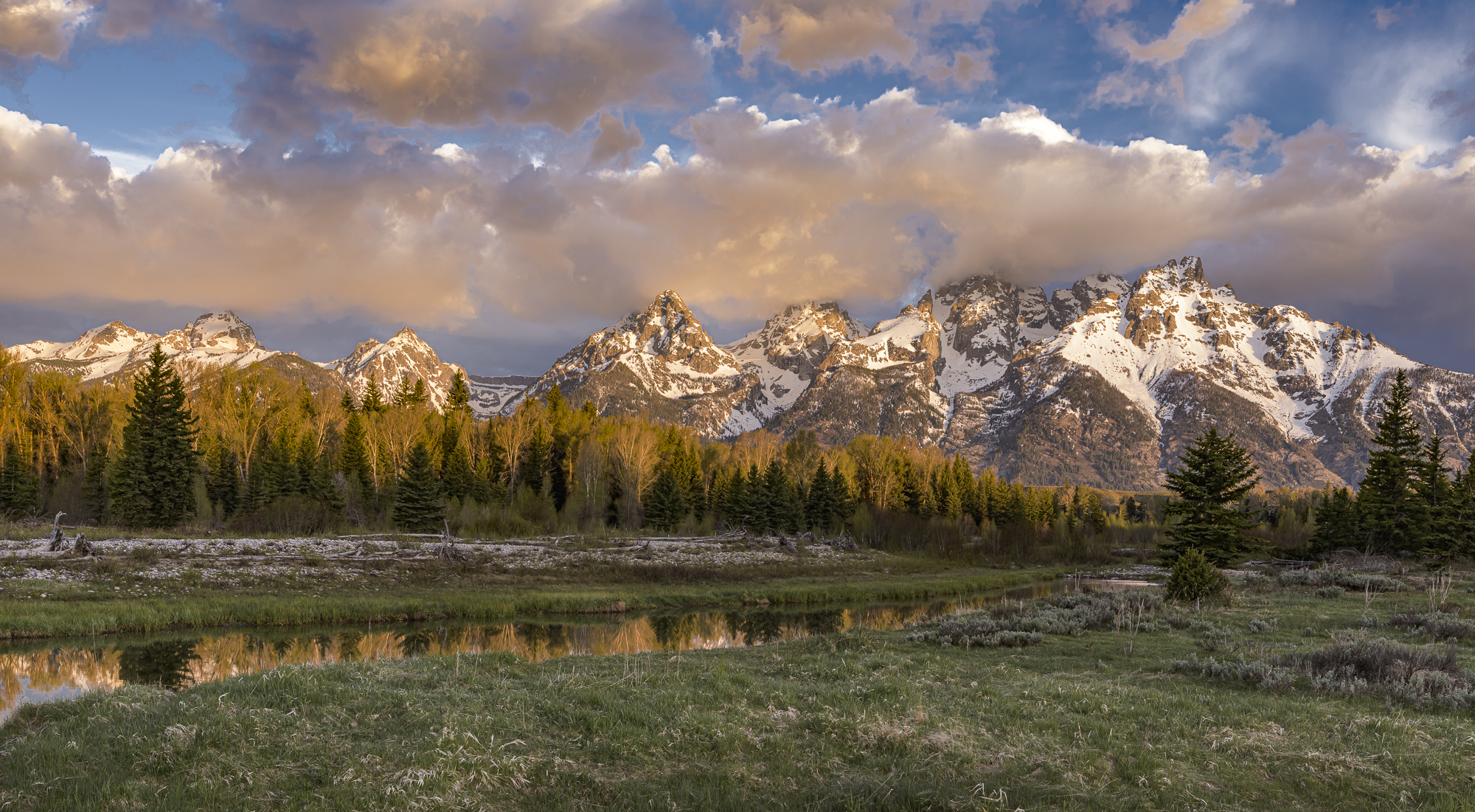 Early Morning, Schwabacher Landing, May 2016