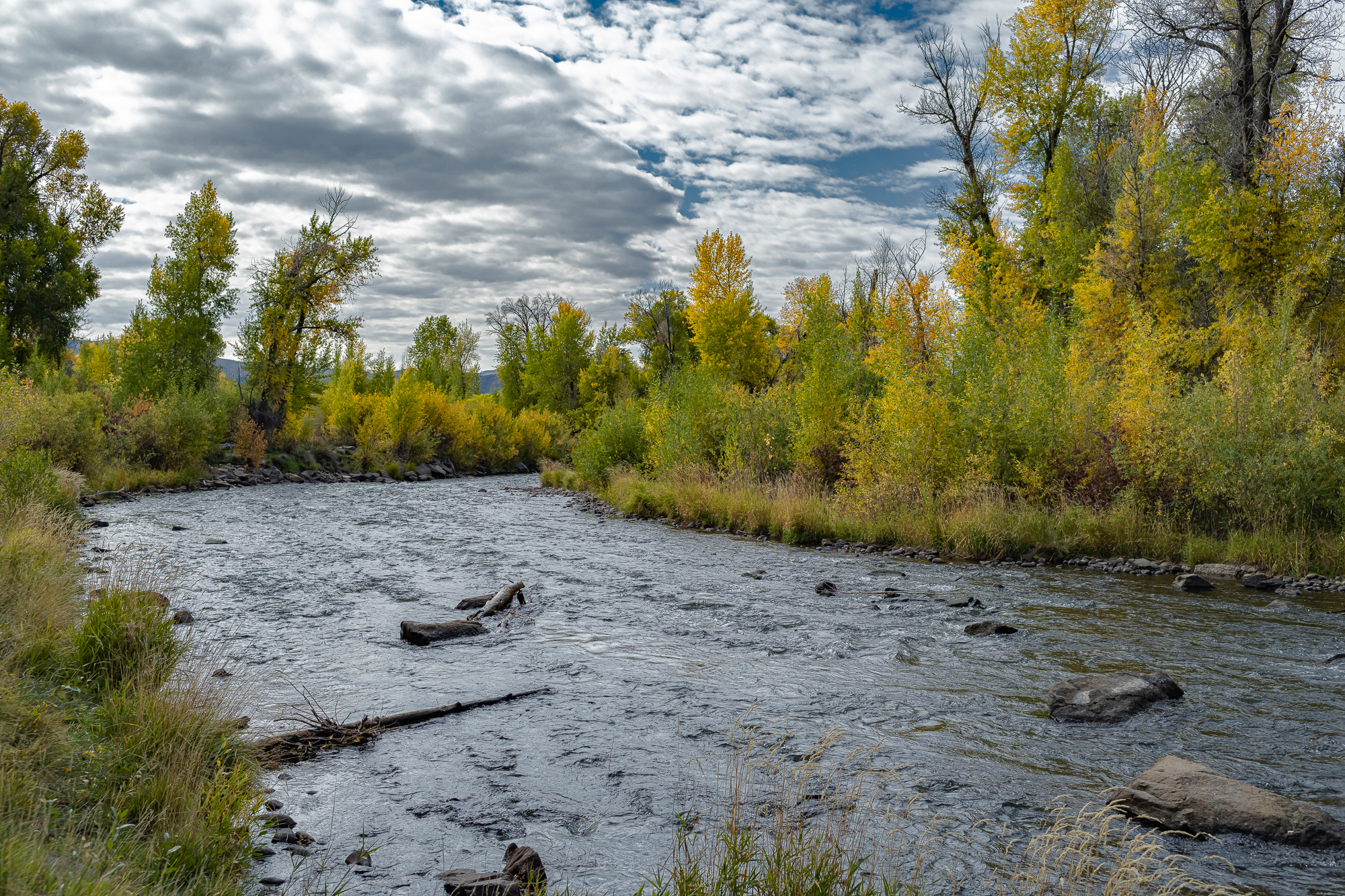 Wild Provo River – View #1, Heber Valley, UT