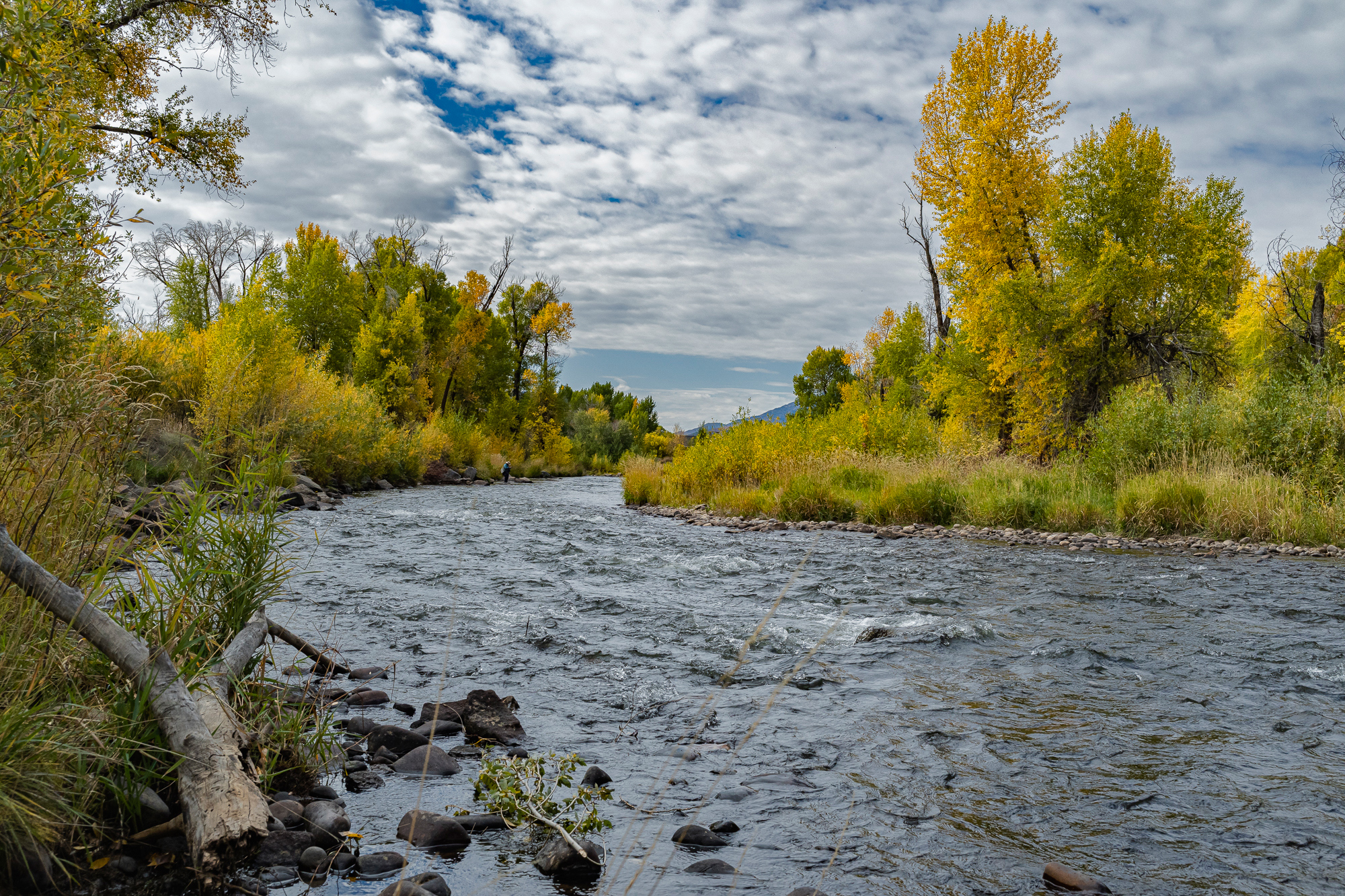 Wild Provo River – View #3, Heber Valley, UT)