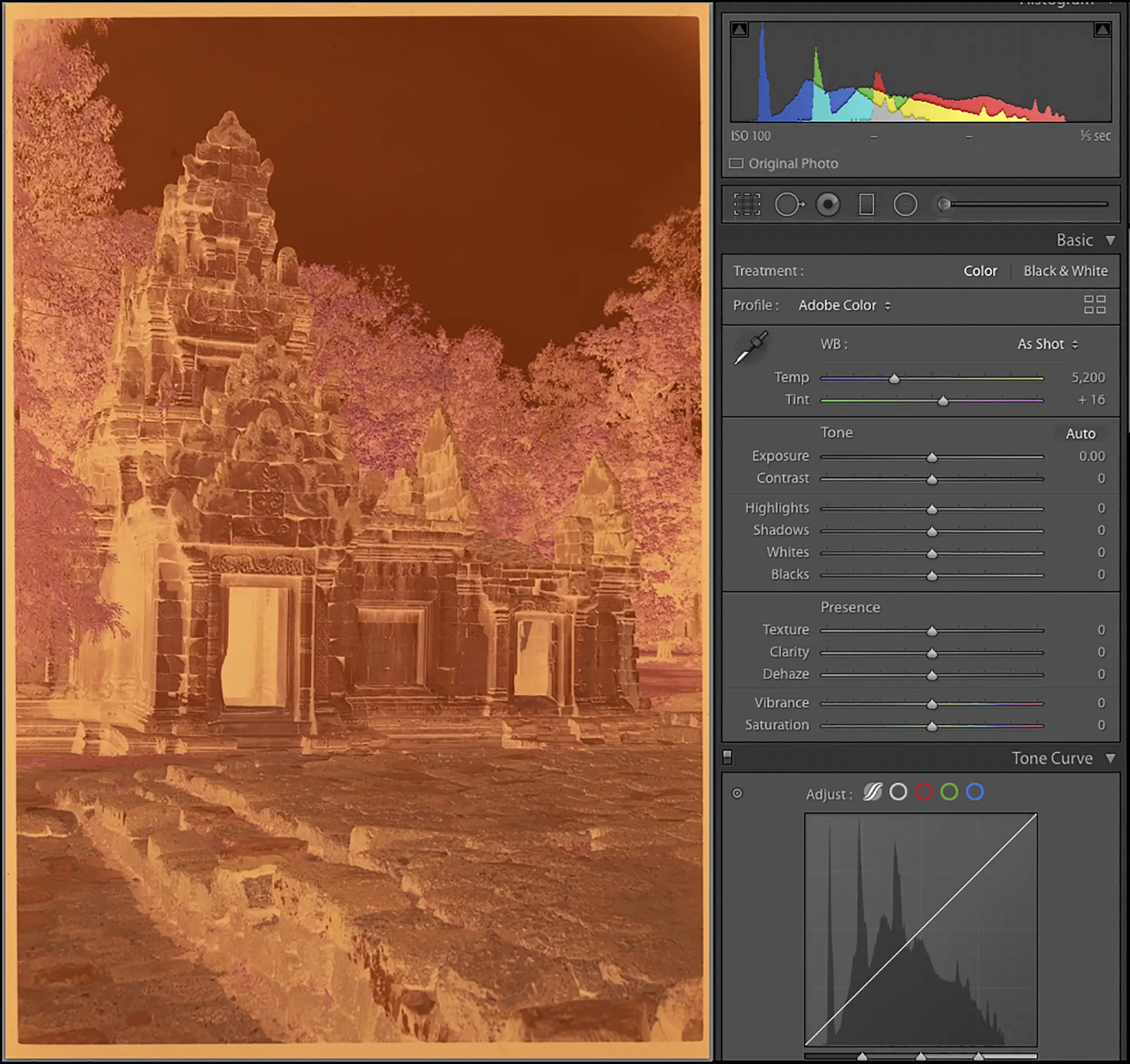 Digitizing Negatives with a Camera - Revisited - Luminous Landscape