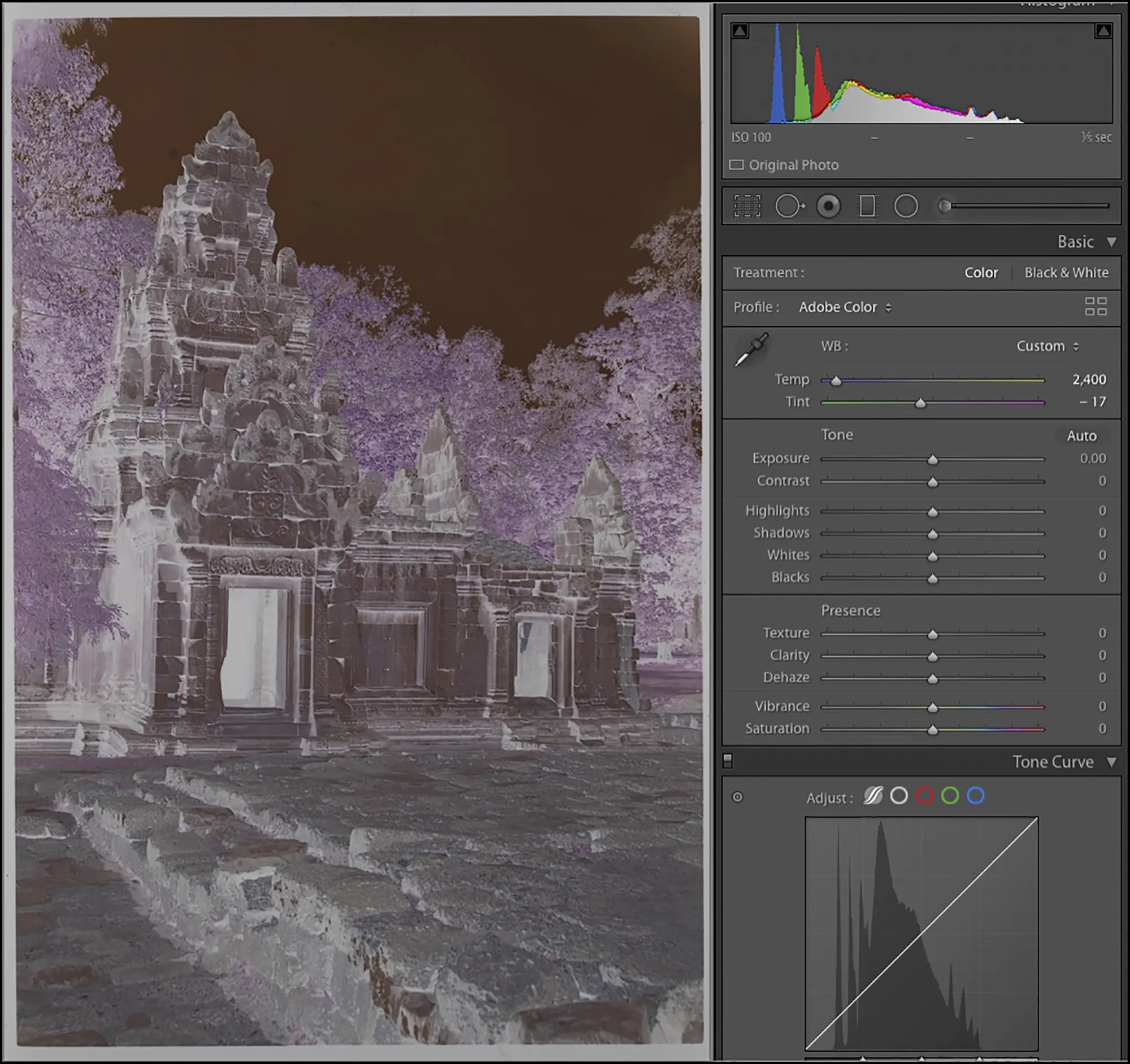 Digitizing Negatives with a Camera - Revisited - Luminous Landscape