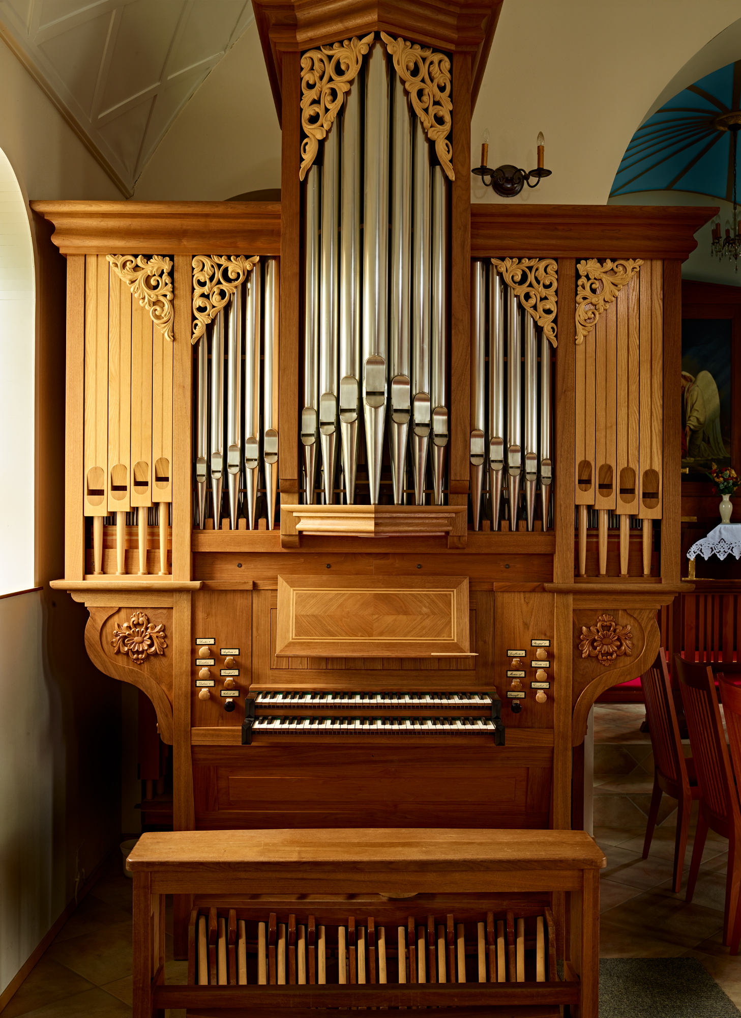 organ