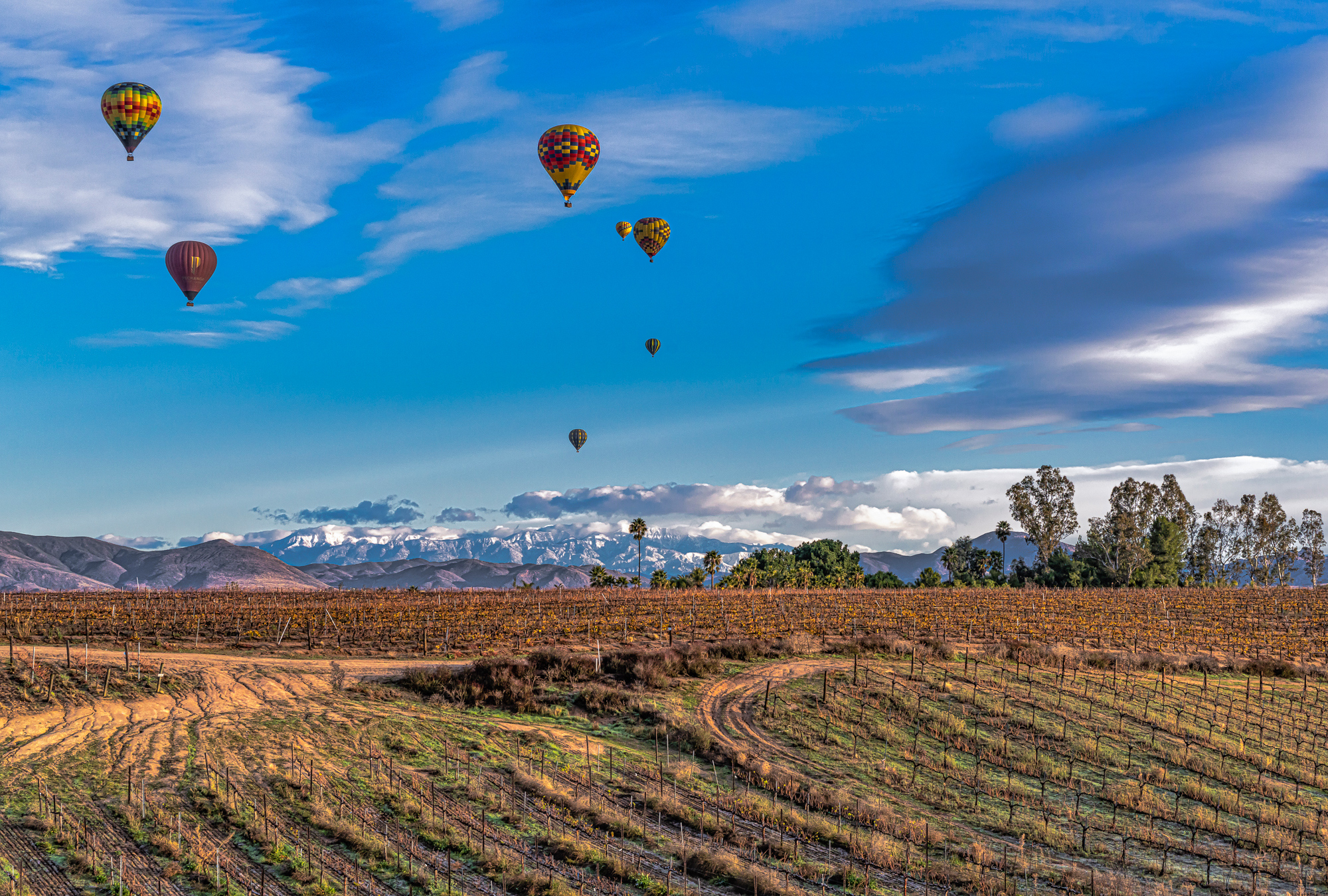 Temecula, CA, 2019; Sony A7rM4, Zeiss 55mm, +.7 EV, ISO 1600