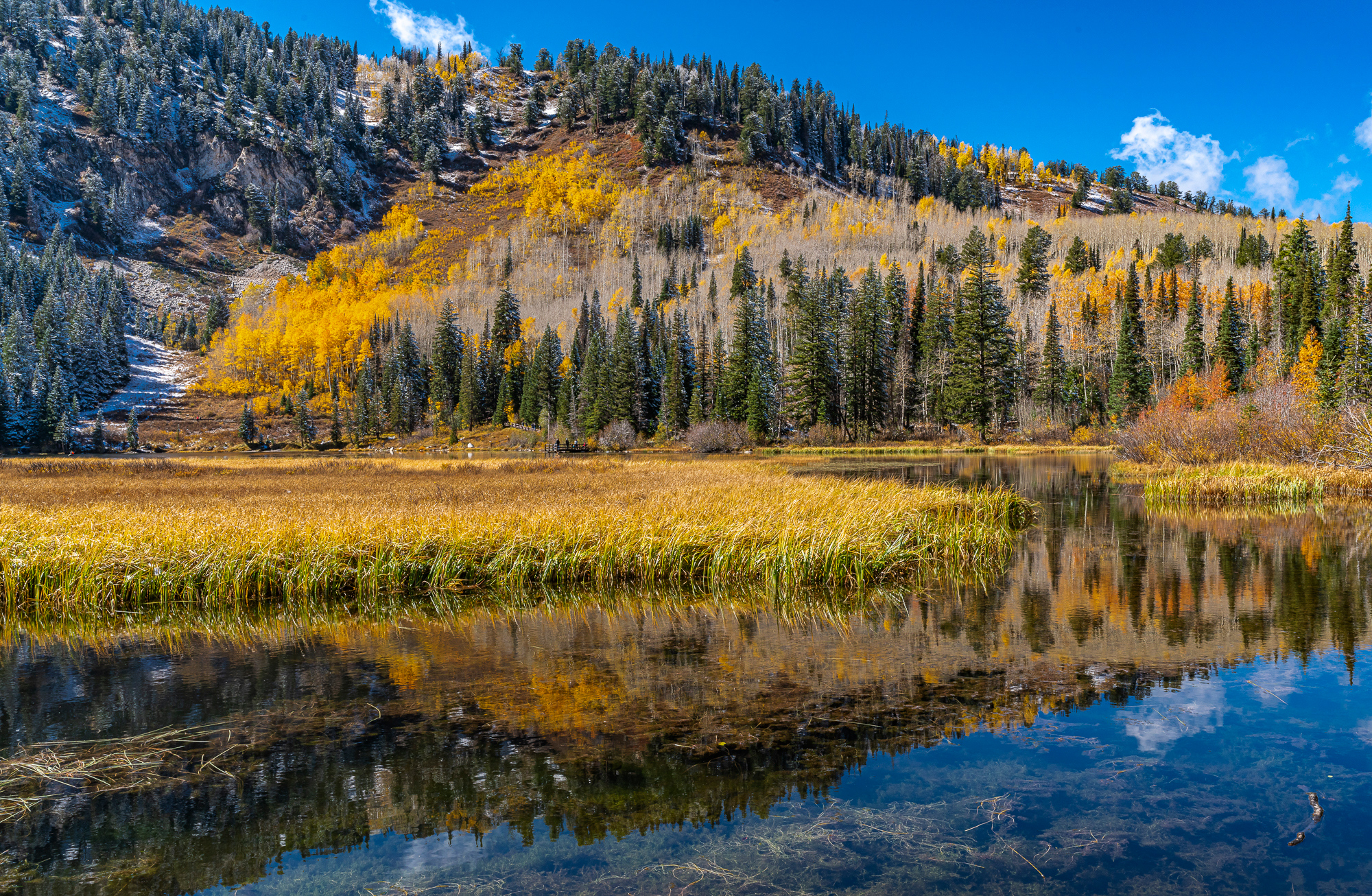 Silver Lake, UT, 2018; Sony A1 & 16-35mm GM, + .3 EV, ISO 400
