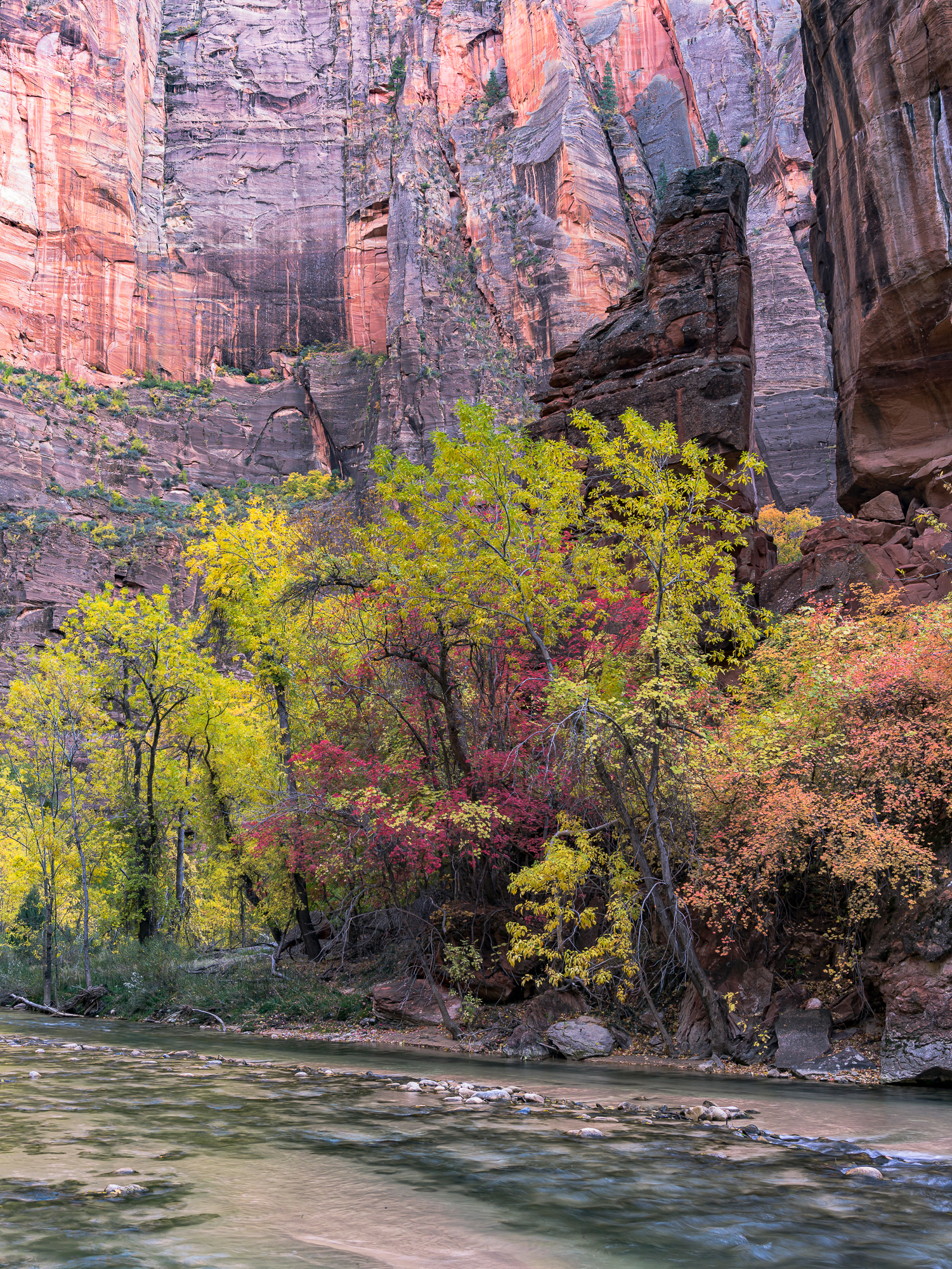 Zion NP, 2012; Pentax 645D, Pentax 55mm, +.3 EV, ISO 200