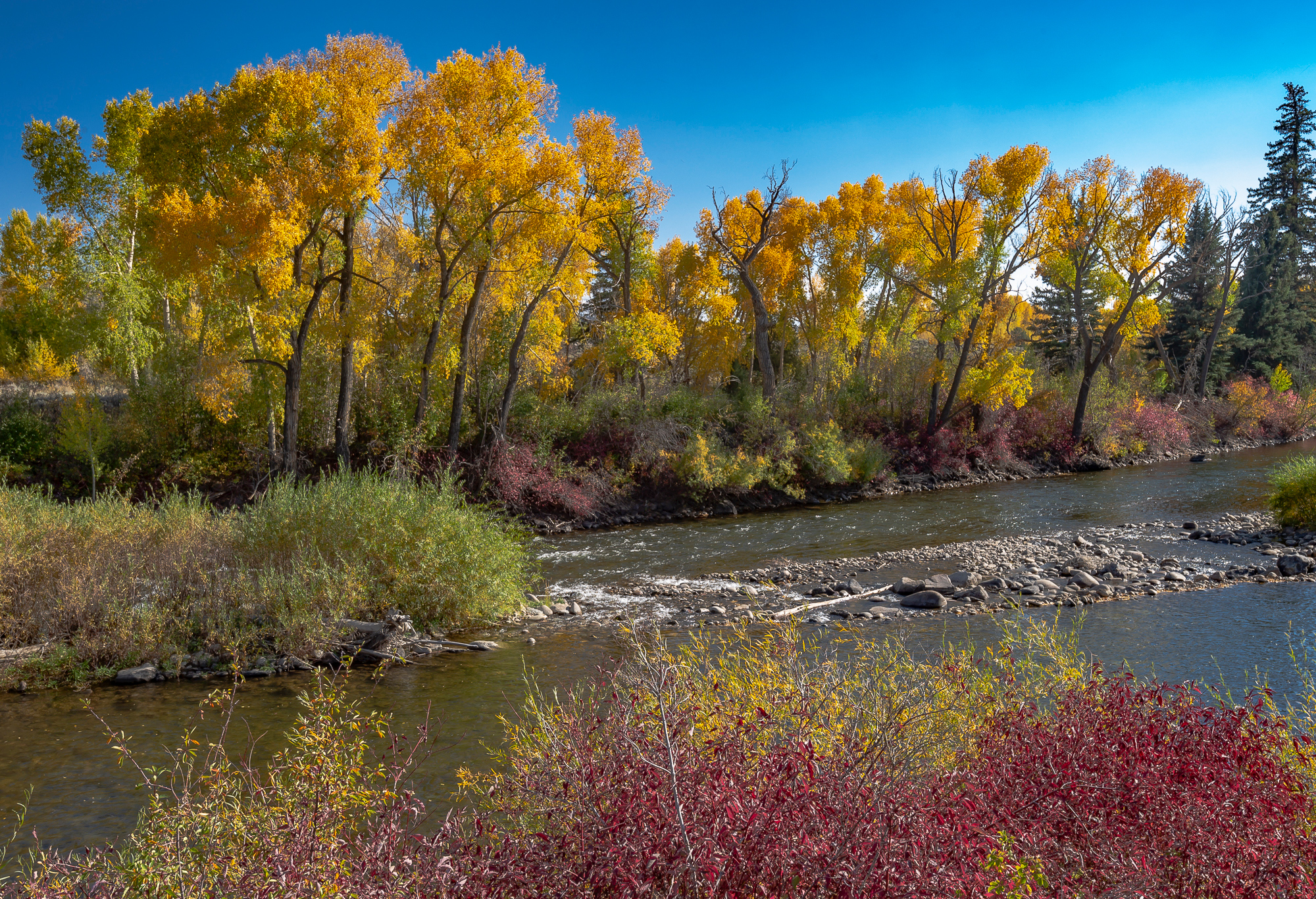 Gunnison River, CO, 2010; Nikon D3s & 16-35mm, +1 EV, ISO 200
