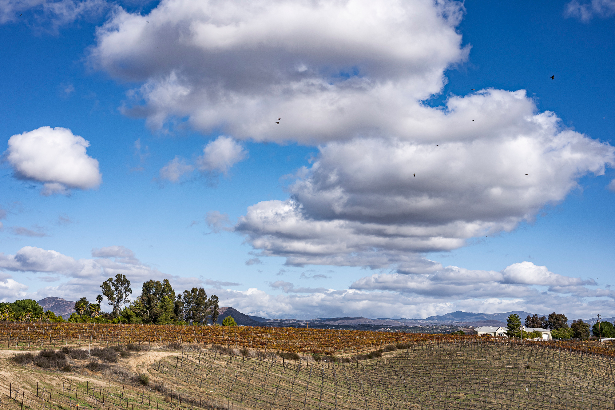 A Bright Cloudy Day, 2021; +1 EV, ISO 200