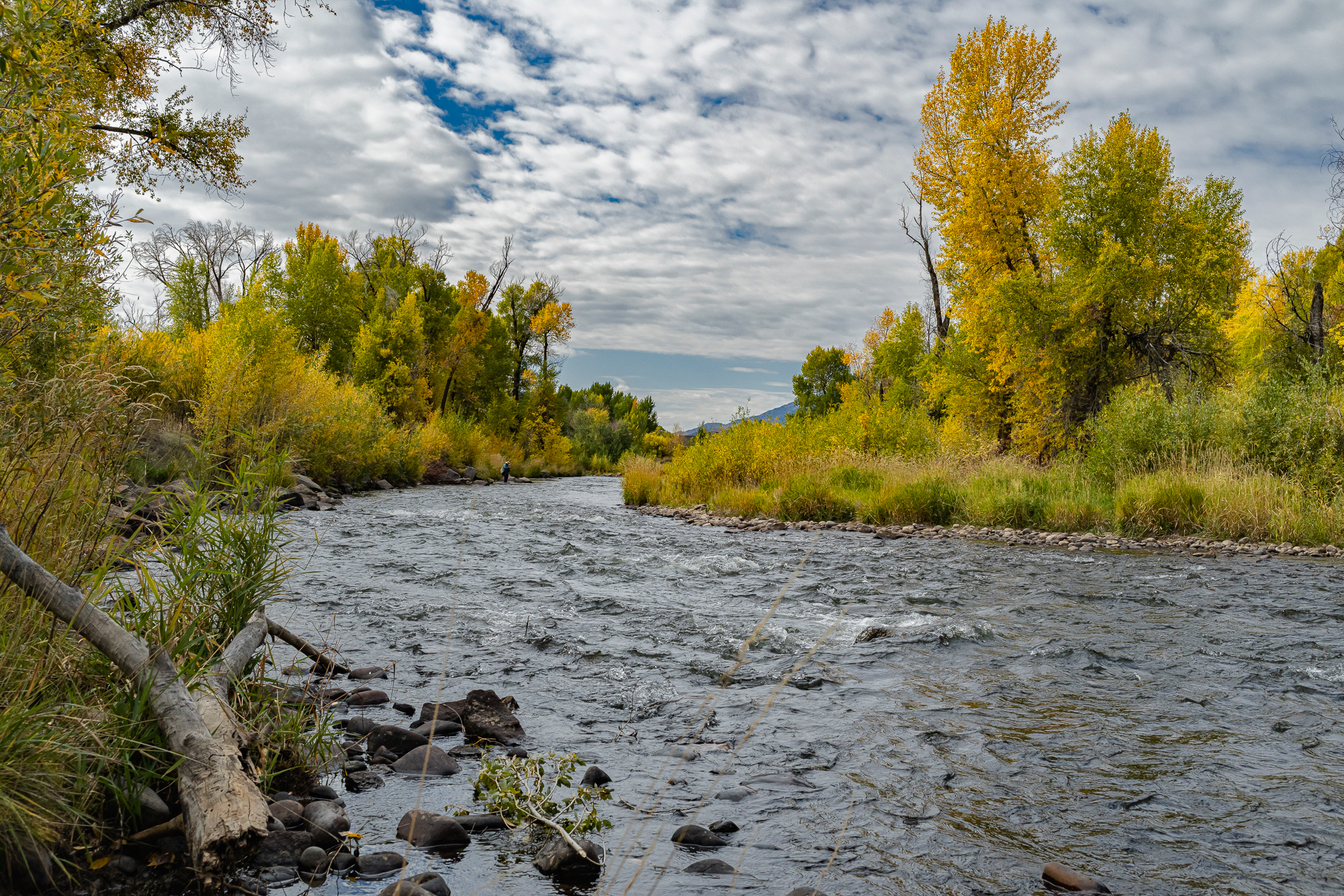 Middle Provo R., 2021; Sony A1, Zeiss Loxia 35mm, +1 EV, ISO 1250
