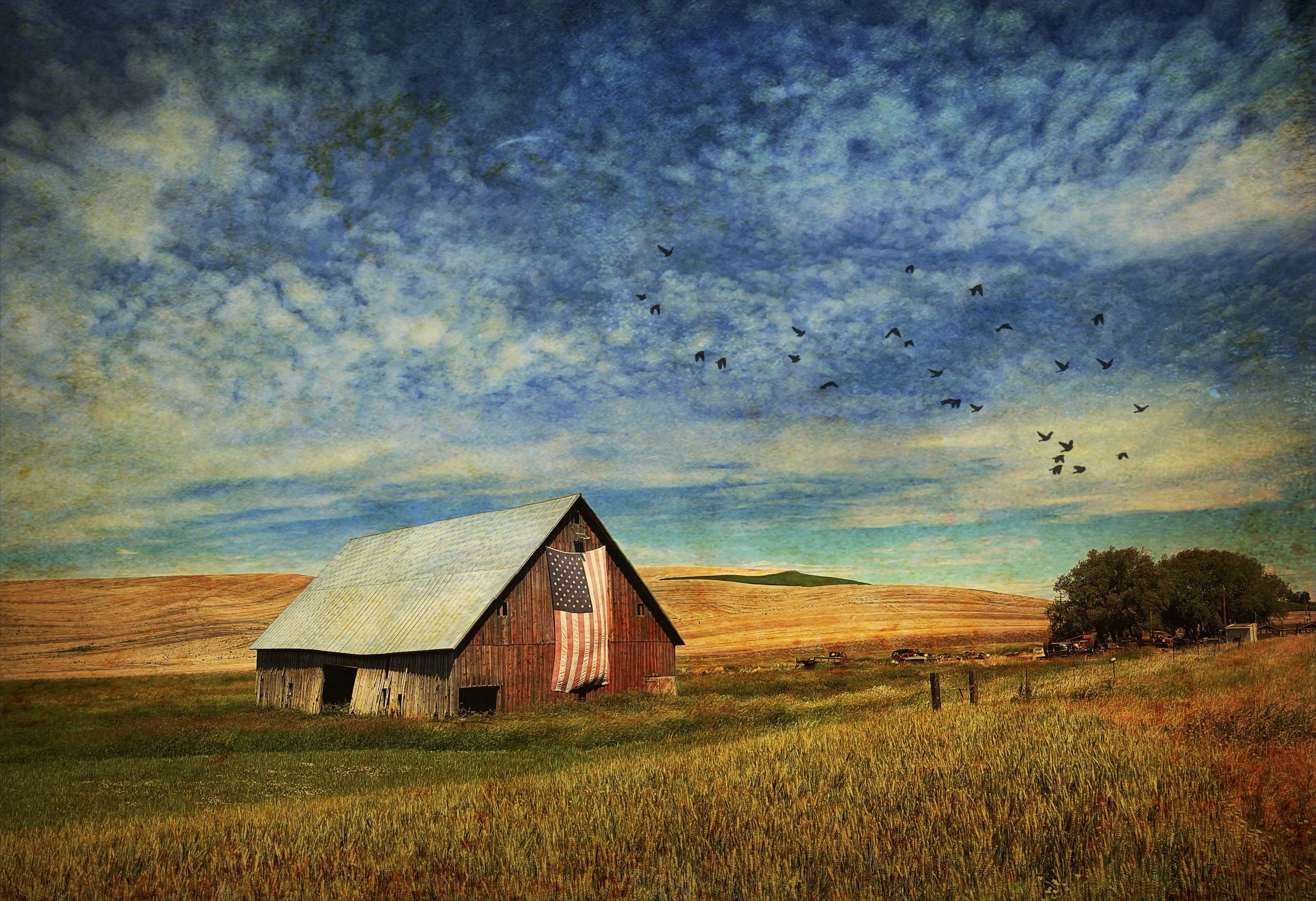 The Famous Plaouse Barn