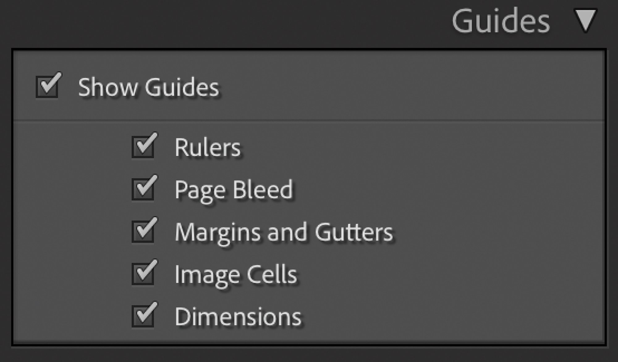 This is the Guides panel from the right side of the Print module. The Dimension option is checked.