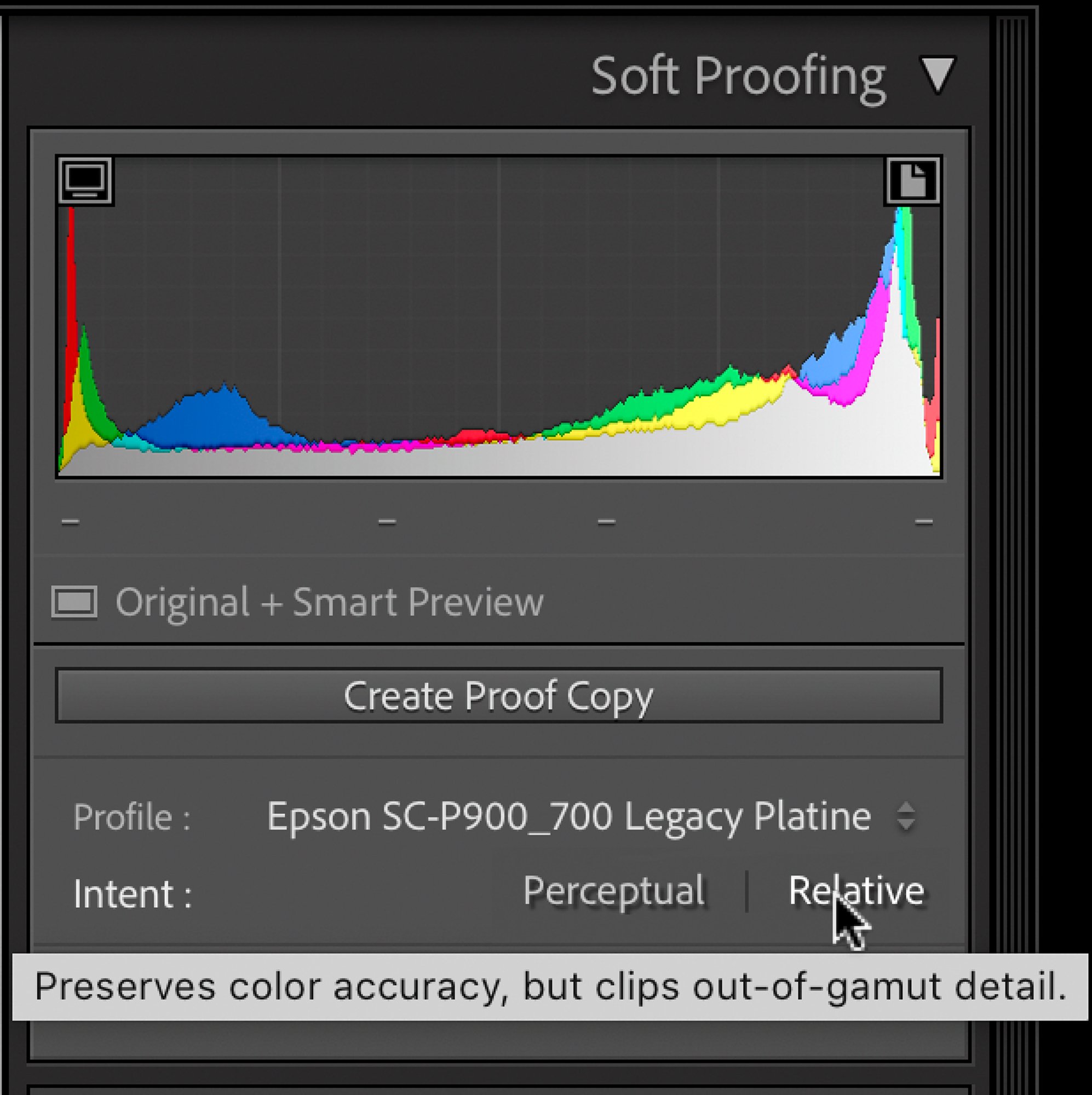 This soft proofed image was using Relative Colorimetric as the intent. You see the tool tip and it’s true but doesn’t really tell the story. As I said in the video, Relative Colorimetric will tend to preserve the tonality of a photograph better than Perceptual. For me, when printing, I tend to use Relative Colorimetric but in this case, Perceptual looked best.