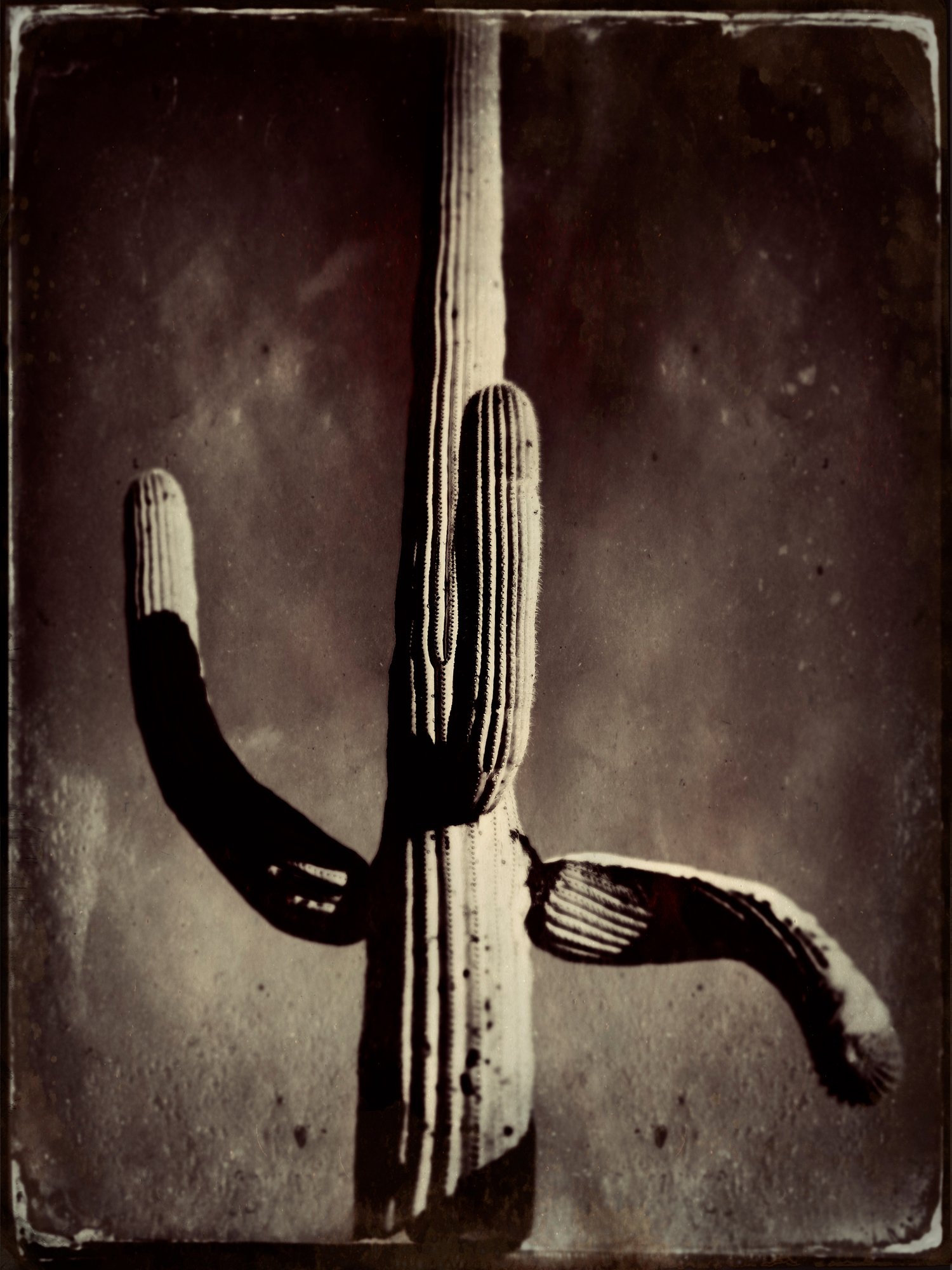 This first image was processed as a warm style