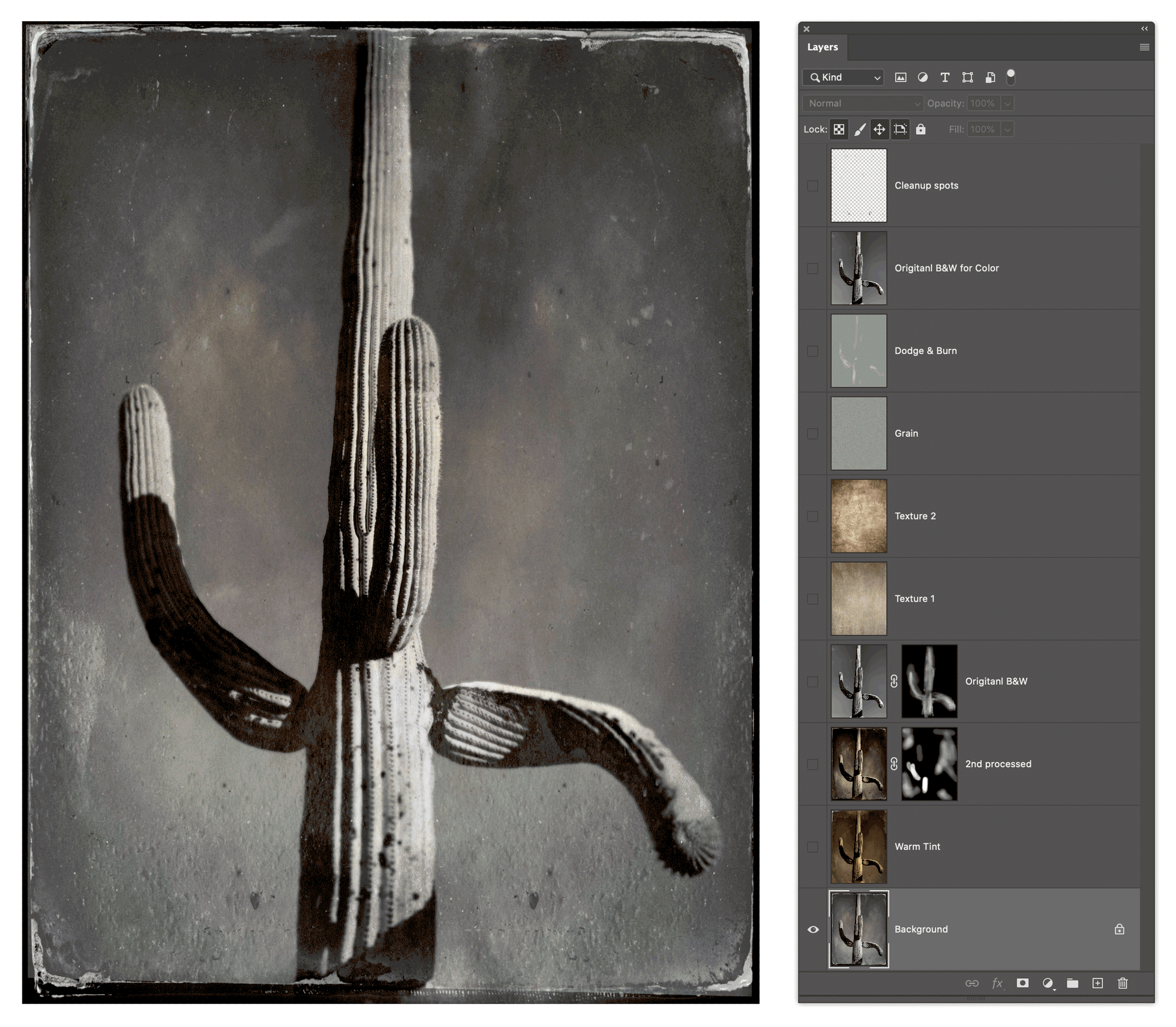 The final Photoshop layered file in an animated GIF.