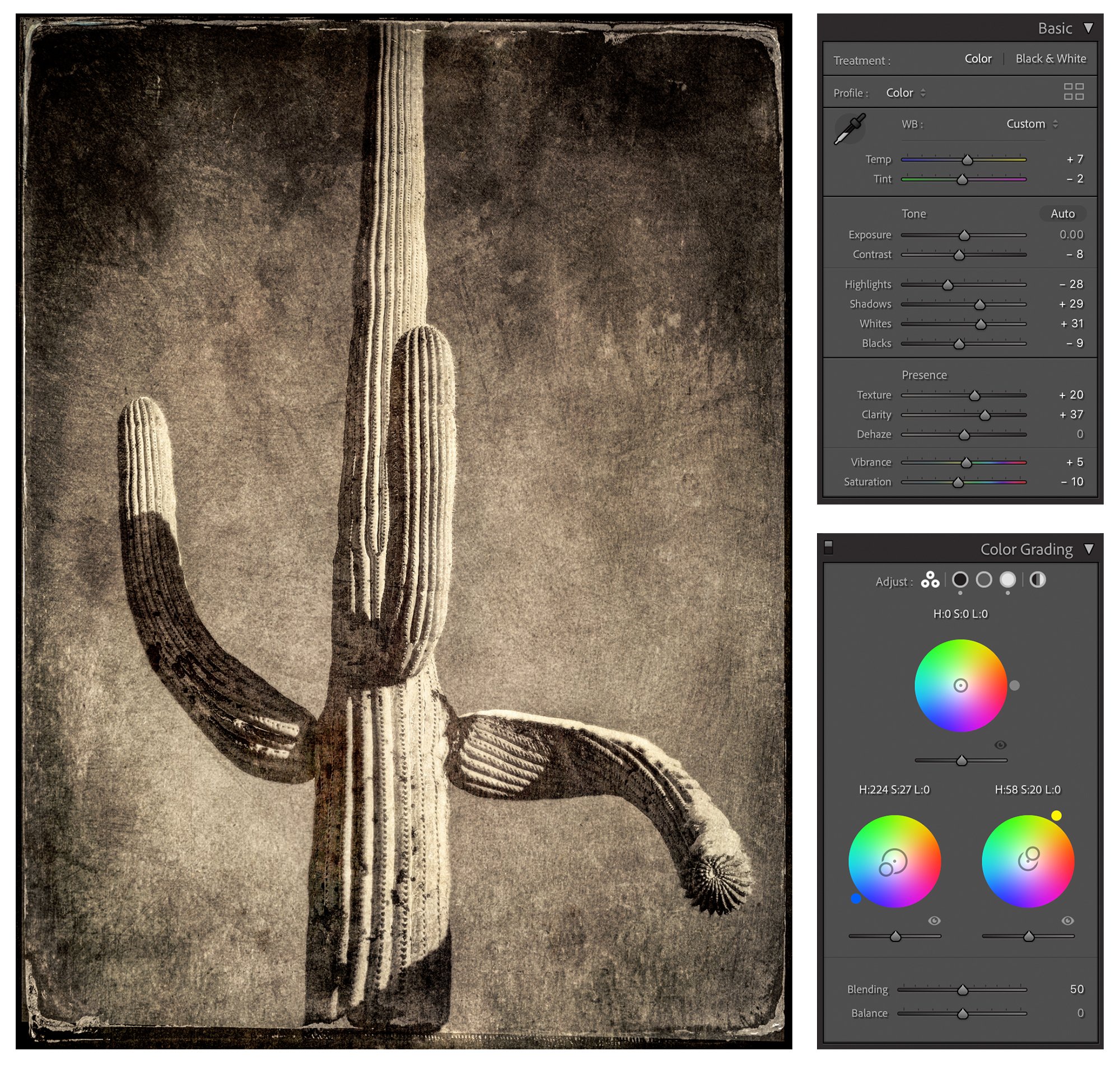 For the final Lightroom adjustments, I used the Basic tools and the Color Grading tools to adjust the tonality and color of the final image while Soft Proofing was turned on.