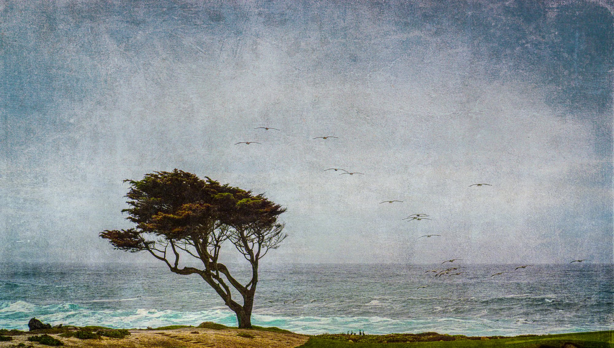 …and yes, those birds were actually there in the shot…
