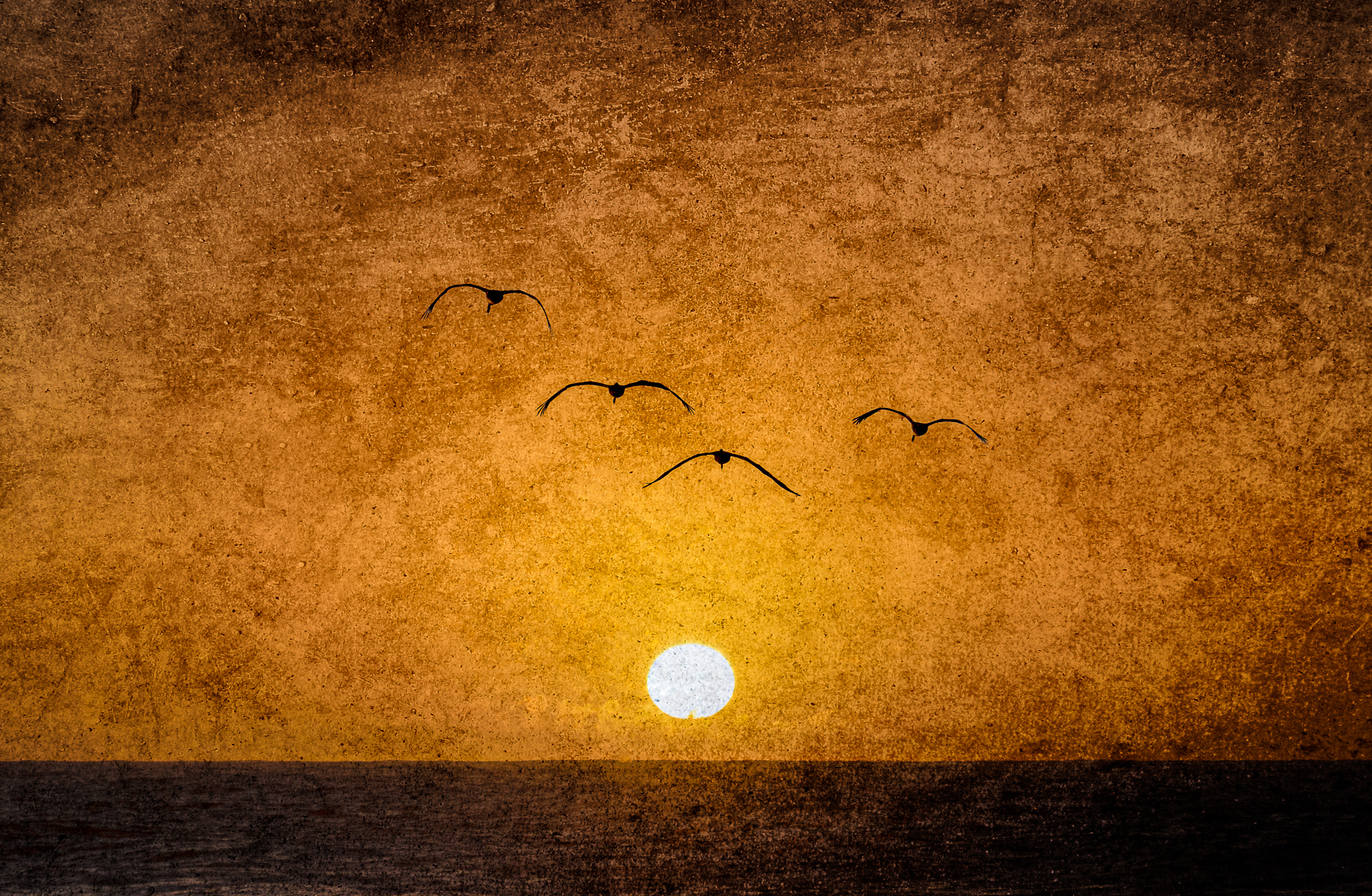 …ok, these birds were added to the shot-but I shot them at about the same time, just at a different zoom…
