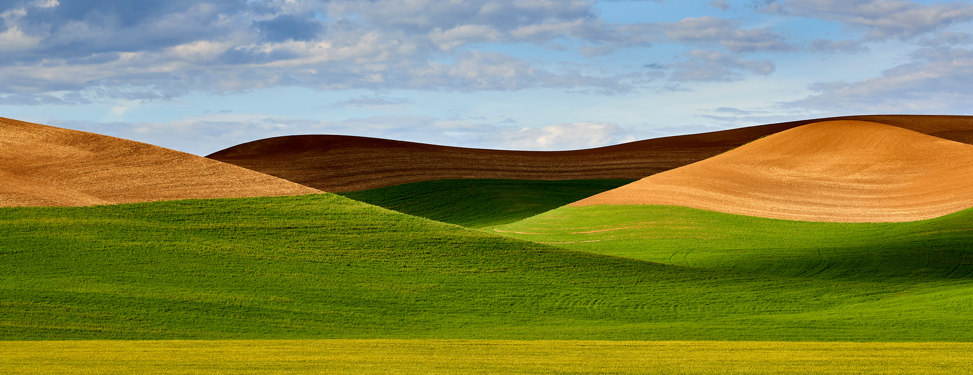 The Palouse. Simple easy composition makes this a stand-out image. Sony a7iv 6 image stitch