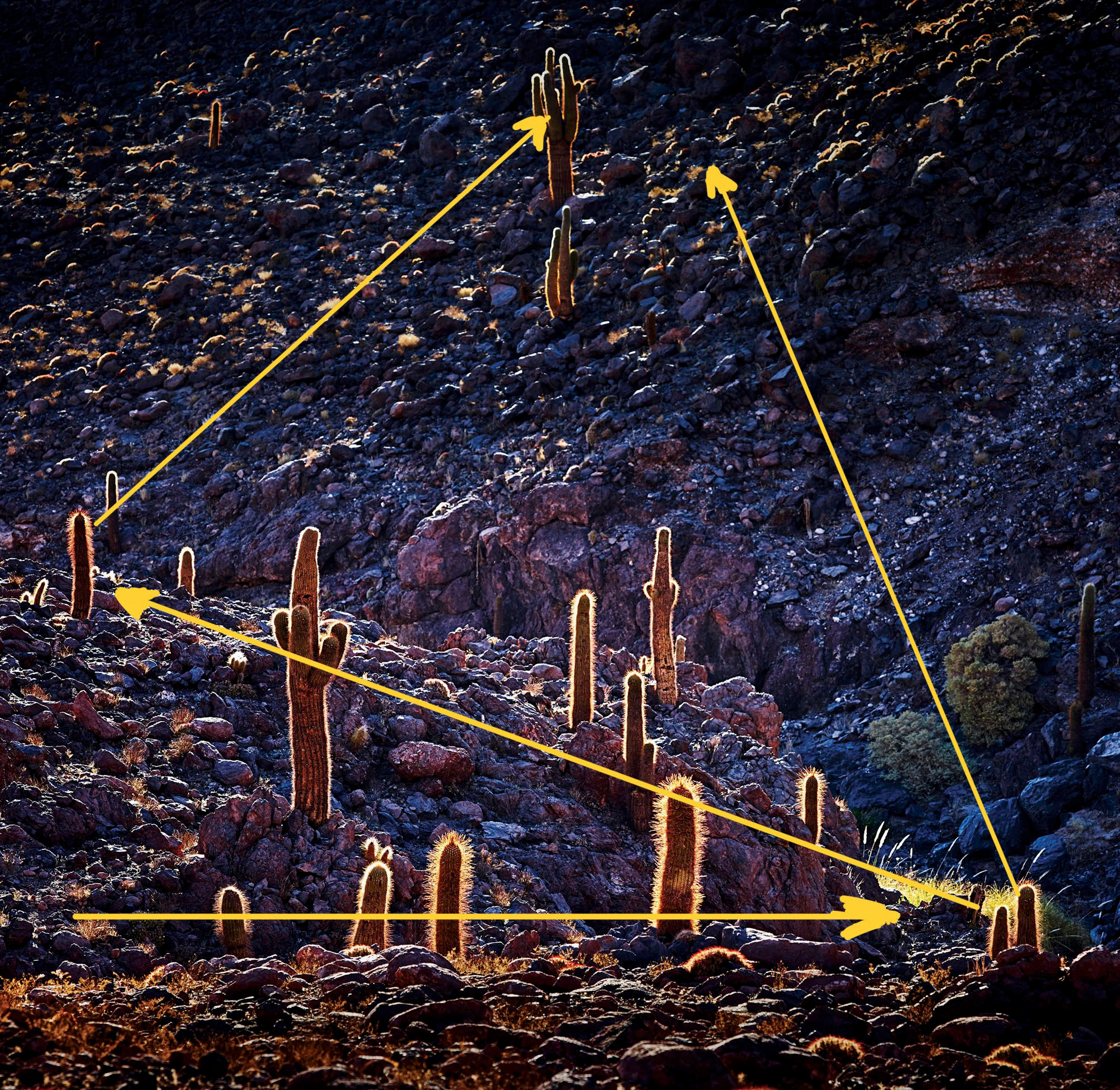 Other lines are 'imagined' between various centres of interest. Some lines can be traced along the edges of the shapes within the photo.