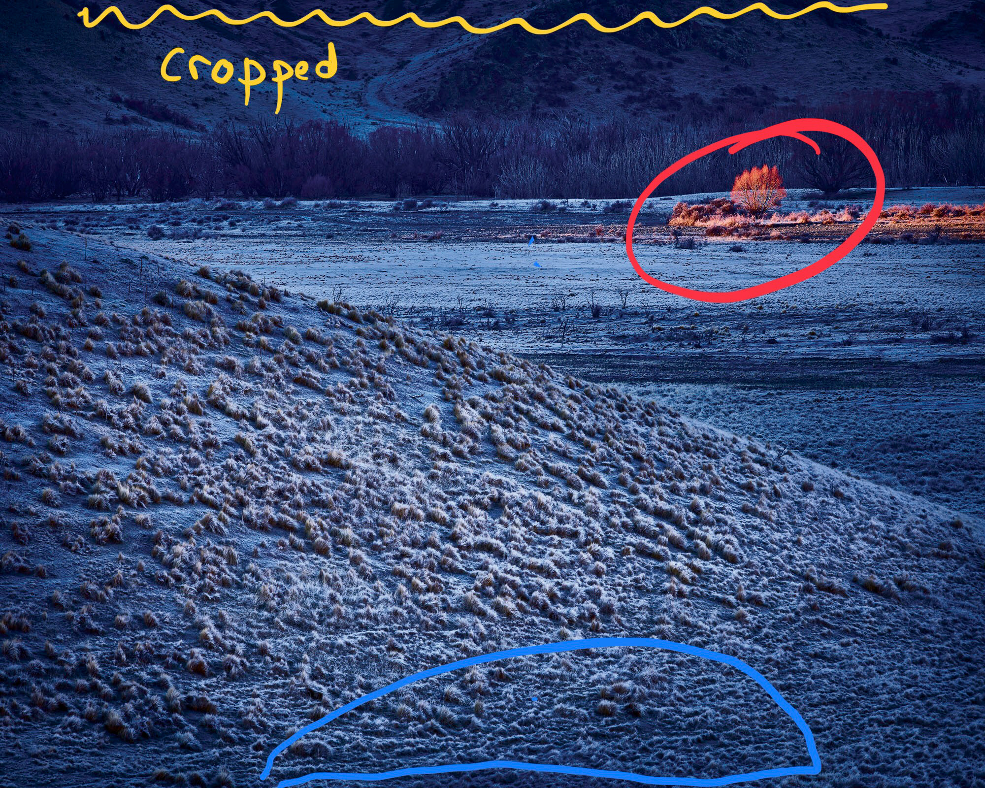 Cropping strengthens the remaining centre of interest. Post-production has enhanced the tree as the centre of interest. The small tree is strong enough to 'balance' the large area of grass in the bottom of the frame.