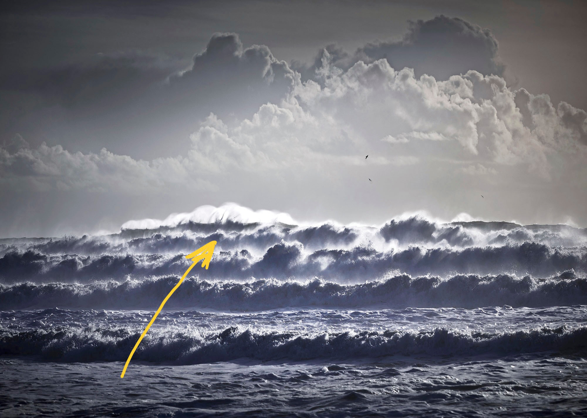 When you attach a telephoto lens, perspective is compressed and flattened. This can be challenging when objects are both near and distant from the camera as focus cannot be held on both planes. This was photographed with a 150mm (equivalent) lens.