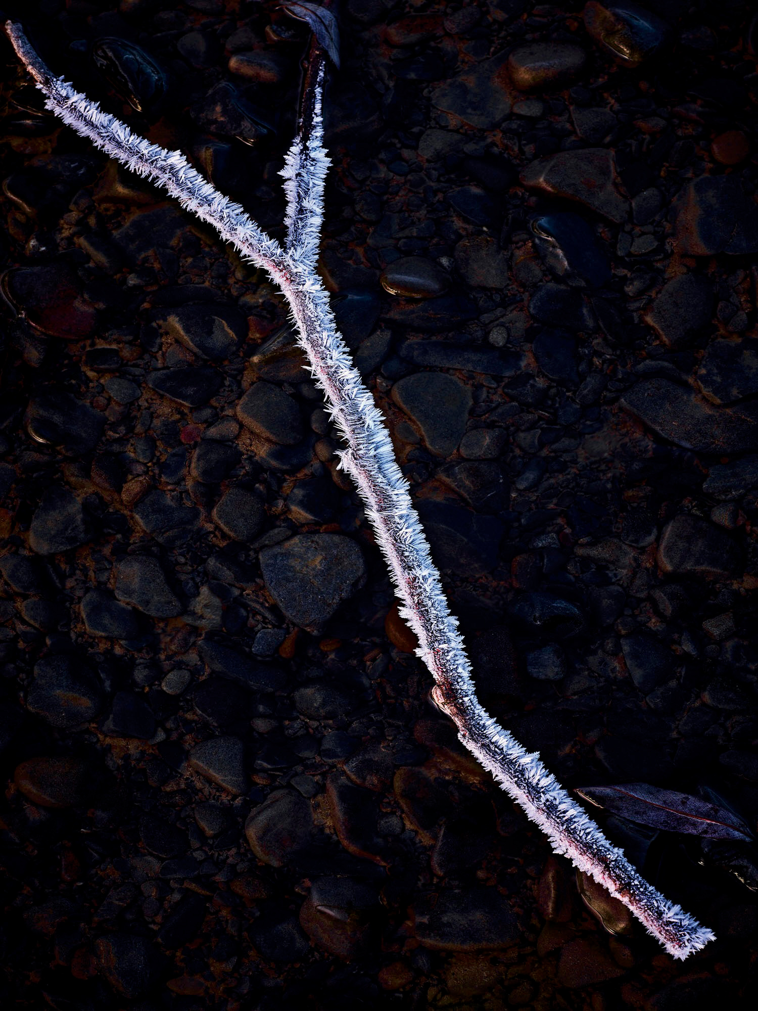 It's pretty easy to say this photo is 'balanced' with equal negative space on either side of the stick.