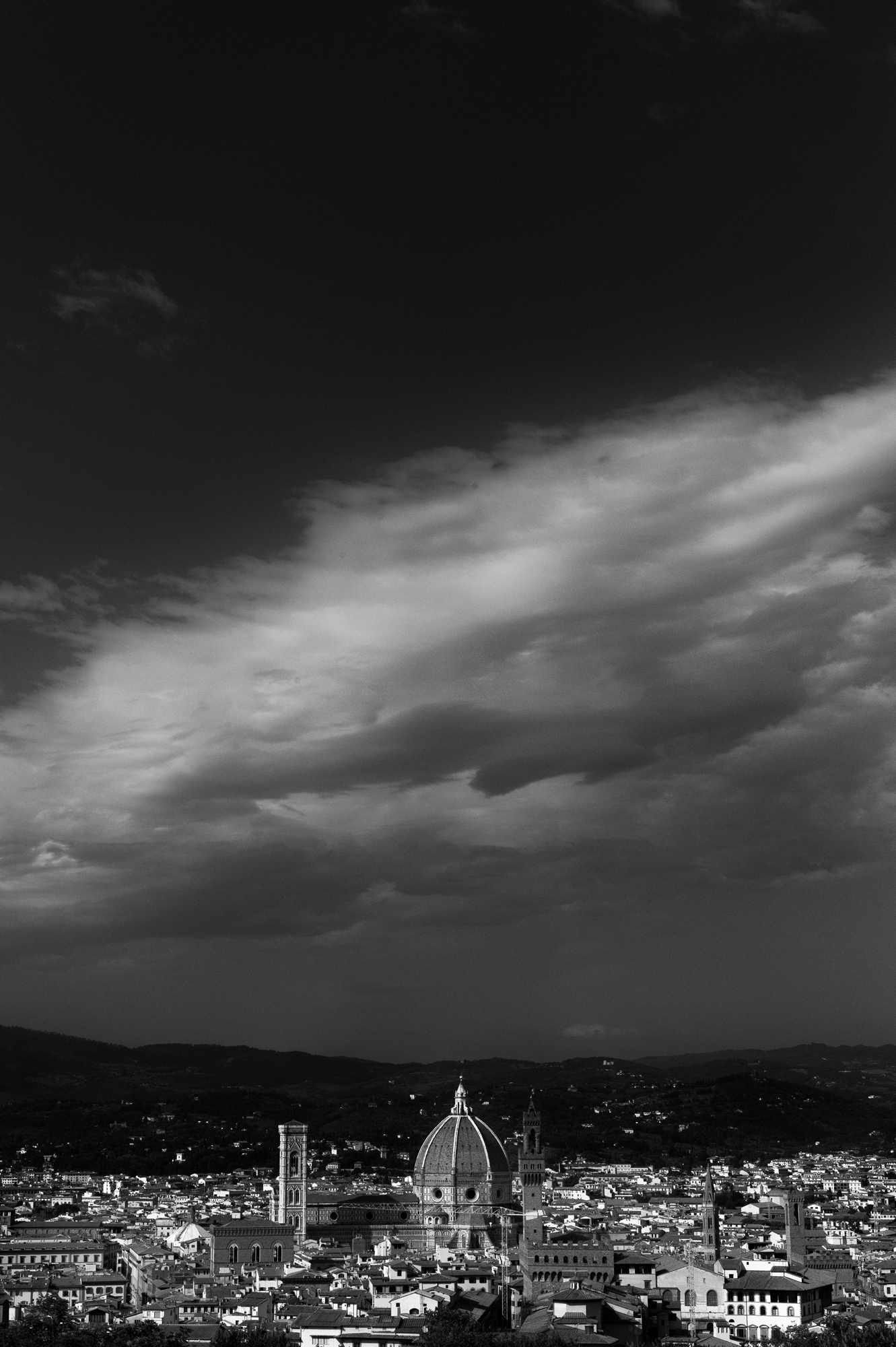 Florence With All Her Pixels