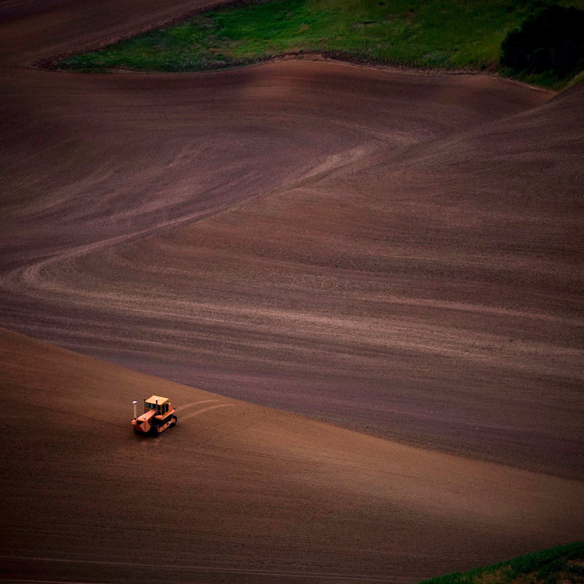 Same dirt as above from a different angle and a different day