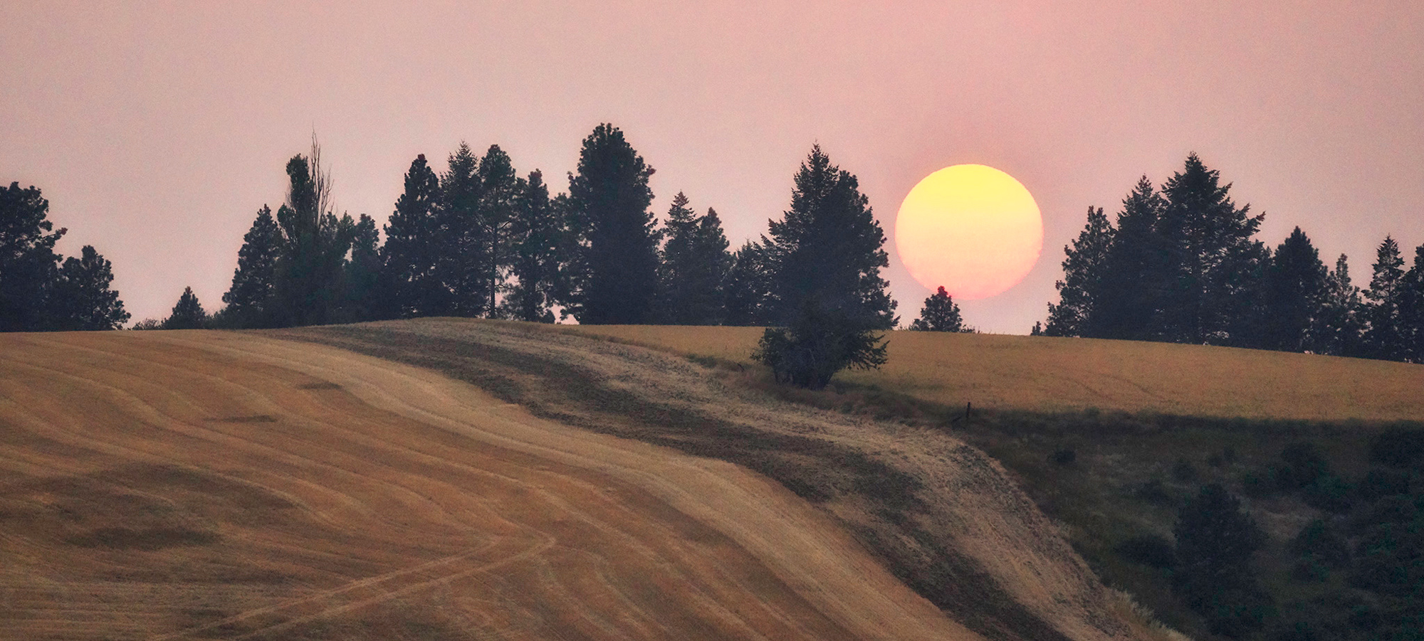One year there were bad forest fires and it made for some colorful sunsets
