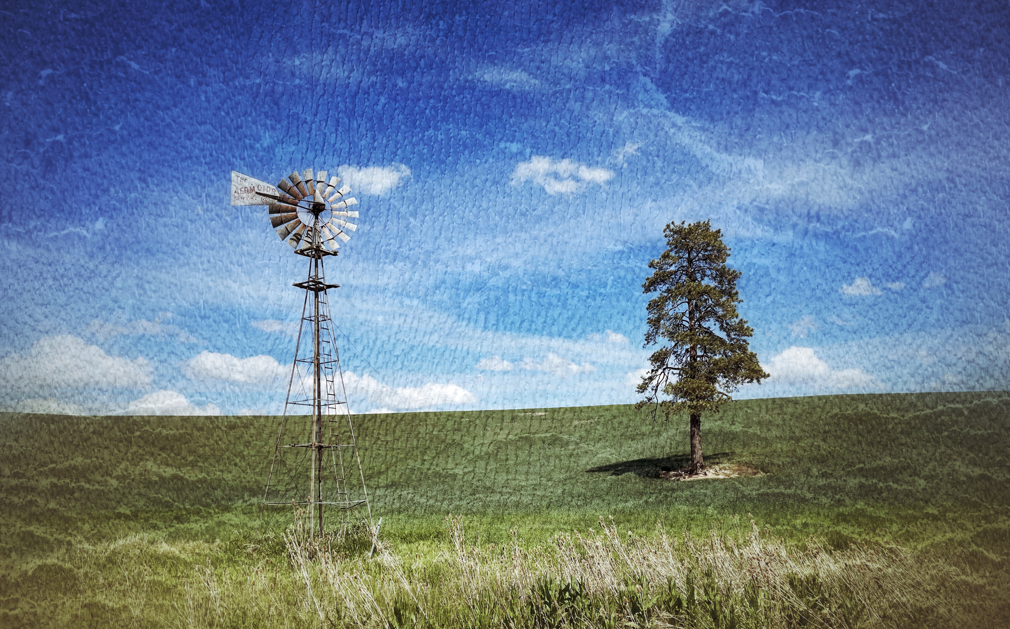 The lone tree and windmill. Iconic Palouse subjects.