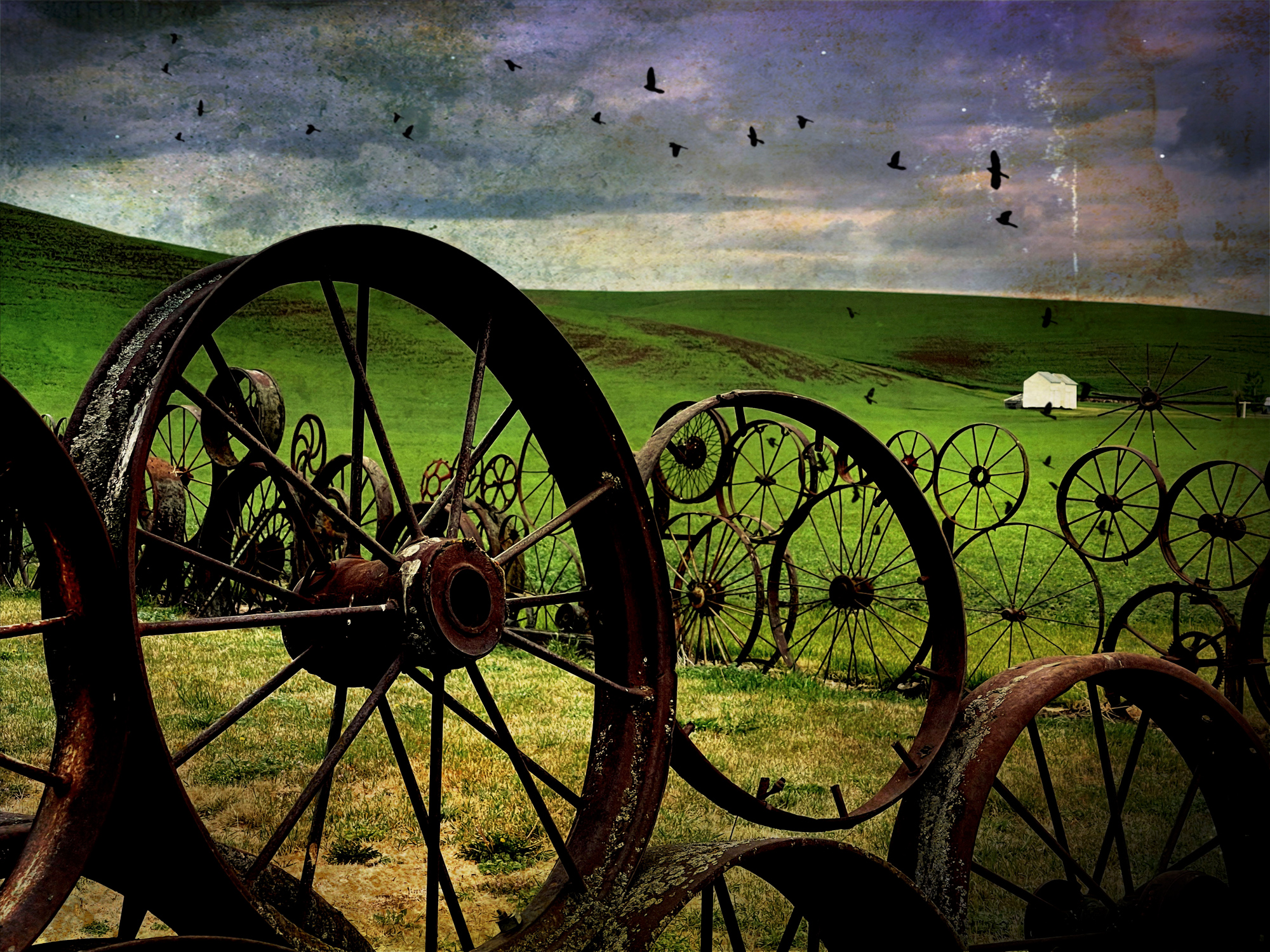 The wagon Wheel Barn and birds created with Snapseed and Distressed FX.